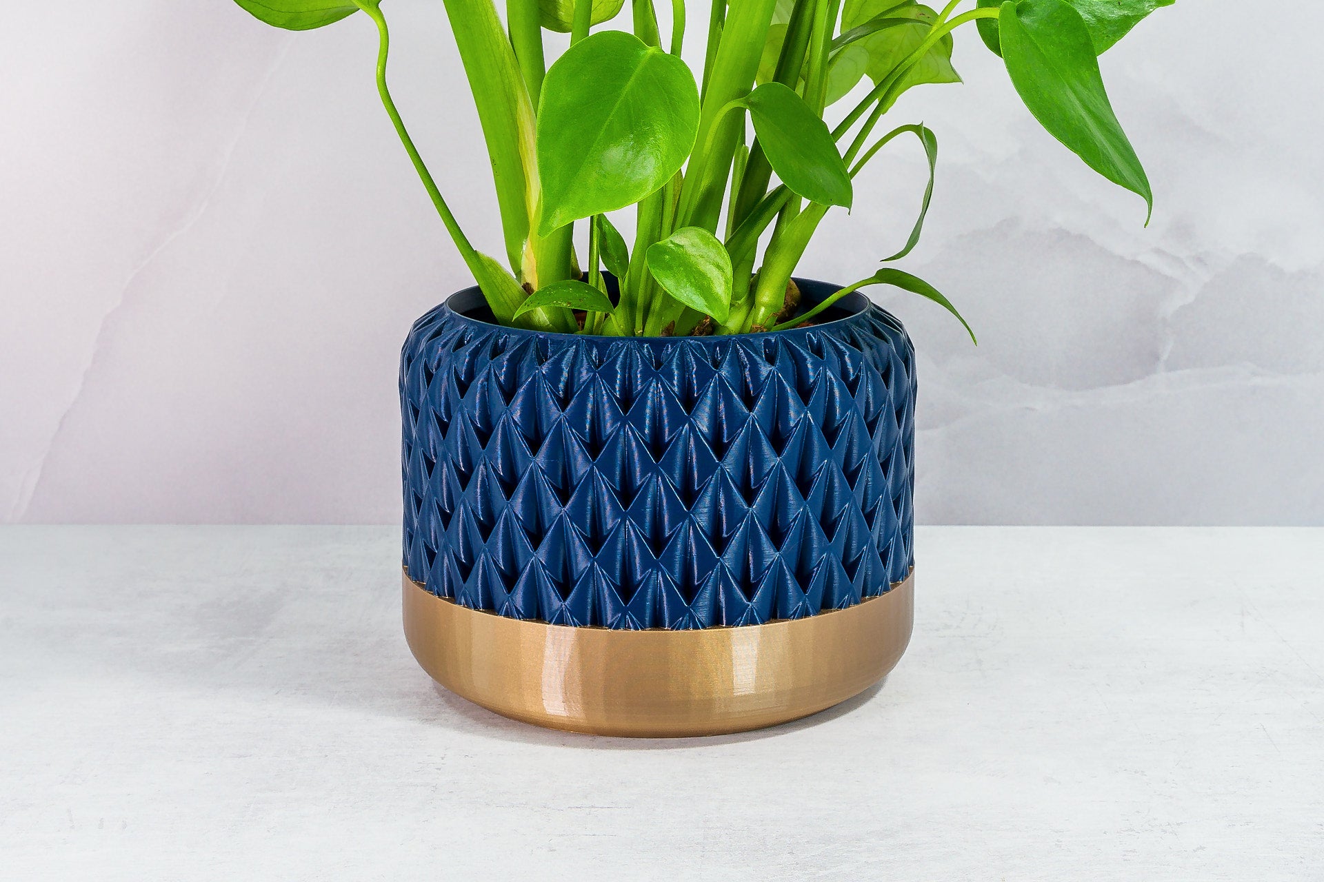 Zoomed In with Monstera: "Close-up of ANANAS planter with gold base and navy pattern, featuring a monstera plant."
