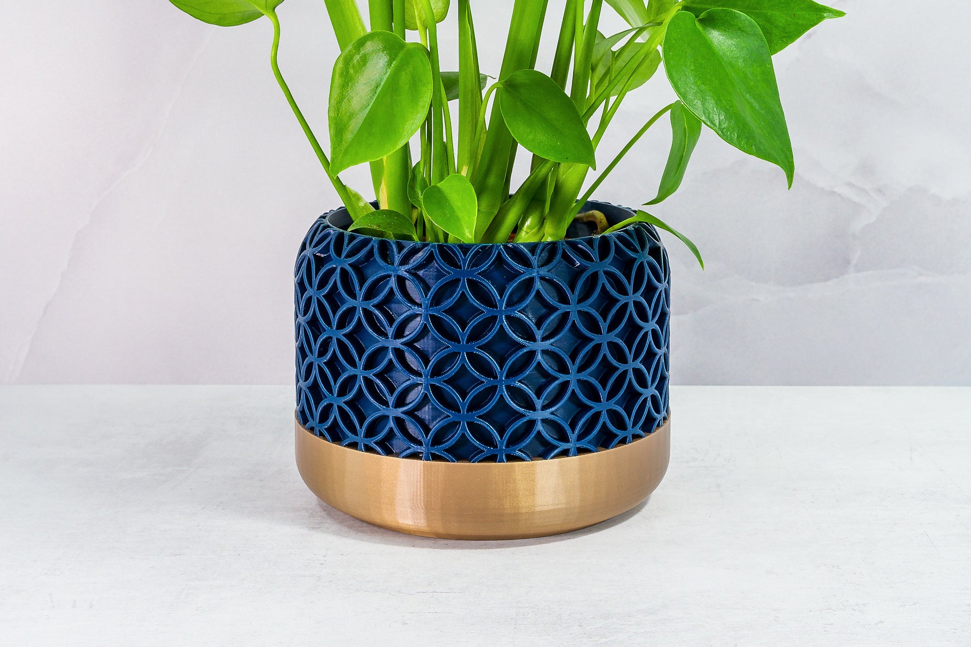 Zoomed In with Monstera: "Close-up of BLOSSOM planter with gold base and navy pattern, featuring a monstera plant."
