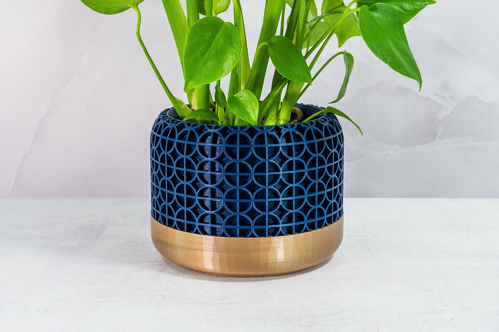 Zoomed In with Monstera: "Close-up of CROSSORB planter with gold base and navy pattern, featuring a monstera plant."
