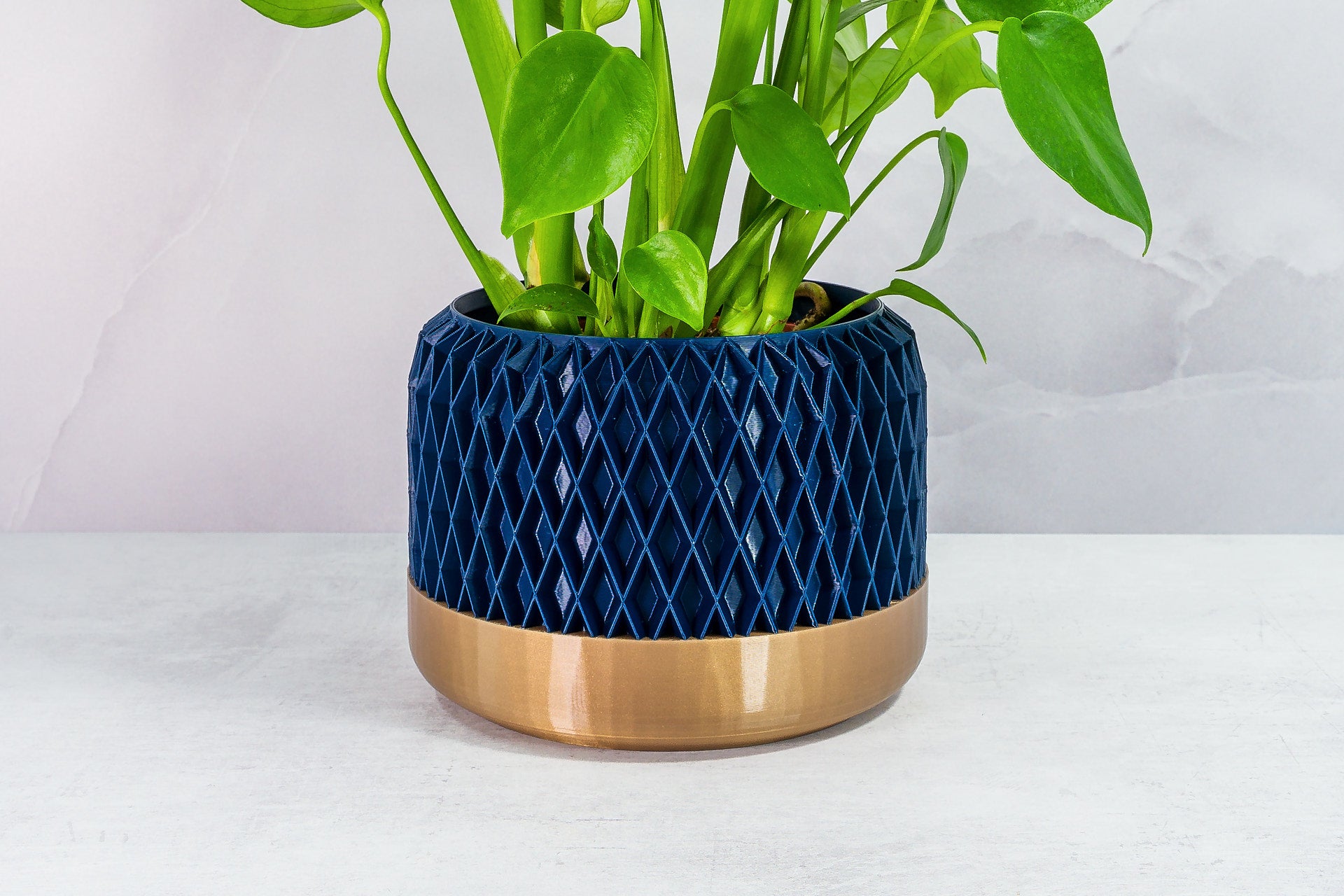 Zoomed In with Monstera: "Close-up of DIAM planter with gold base and navy pattern, featuring a monstera plant."
