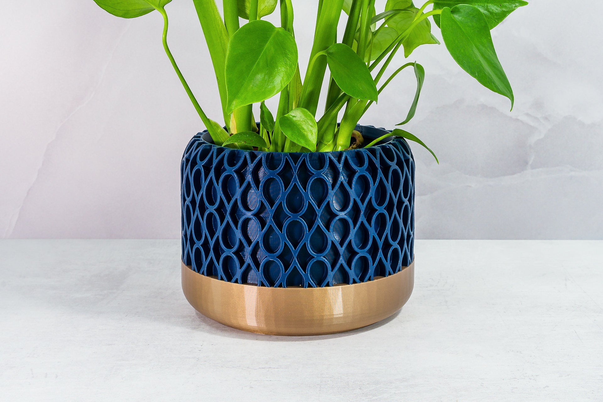 Zoomed In with Monstera: "Close-up of DROPLET planter with gold base and navy pattern, featuring a monstera plant."
