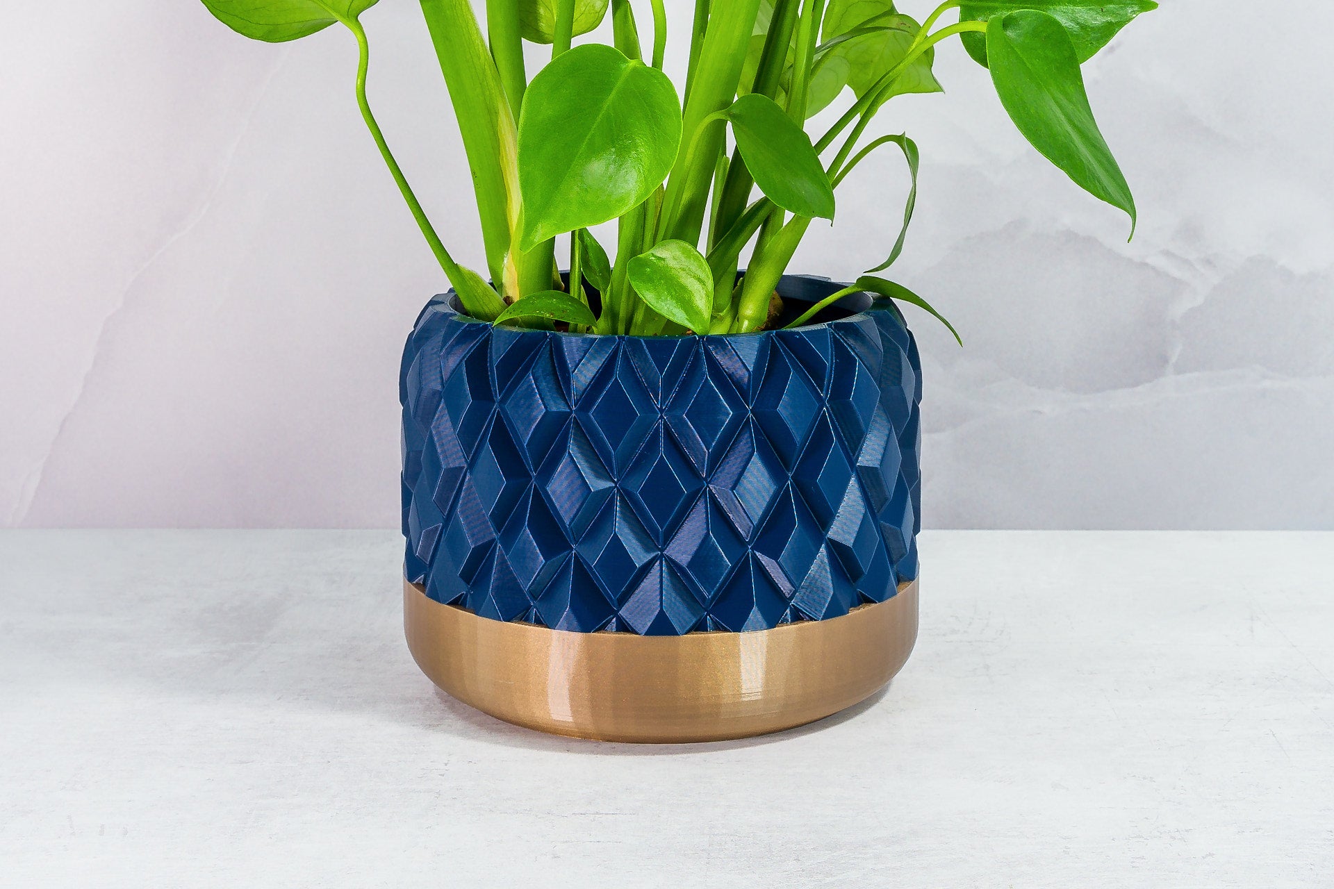 Zoomed In with Monstera: "Close-up of GEM planter with gold base and navy pattern, featuring a monstera plant."
