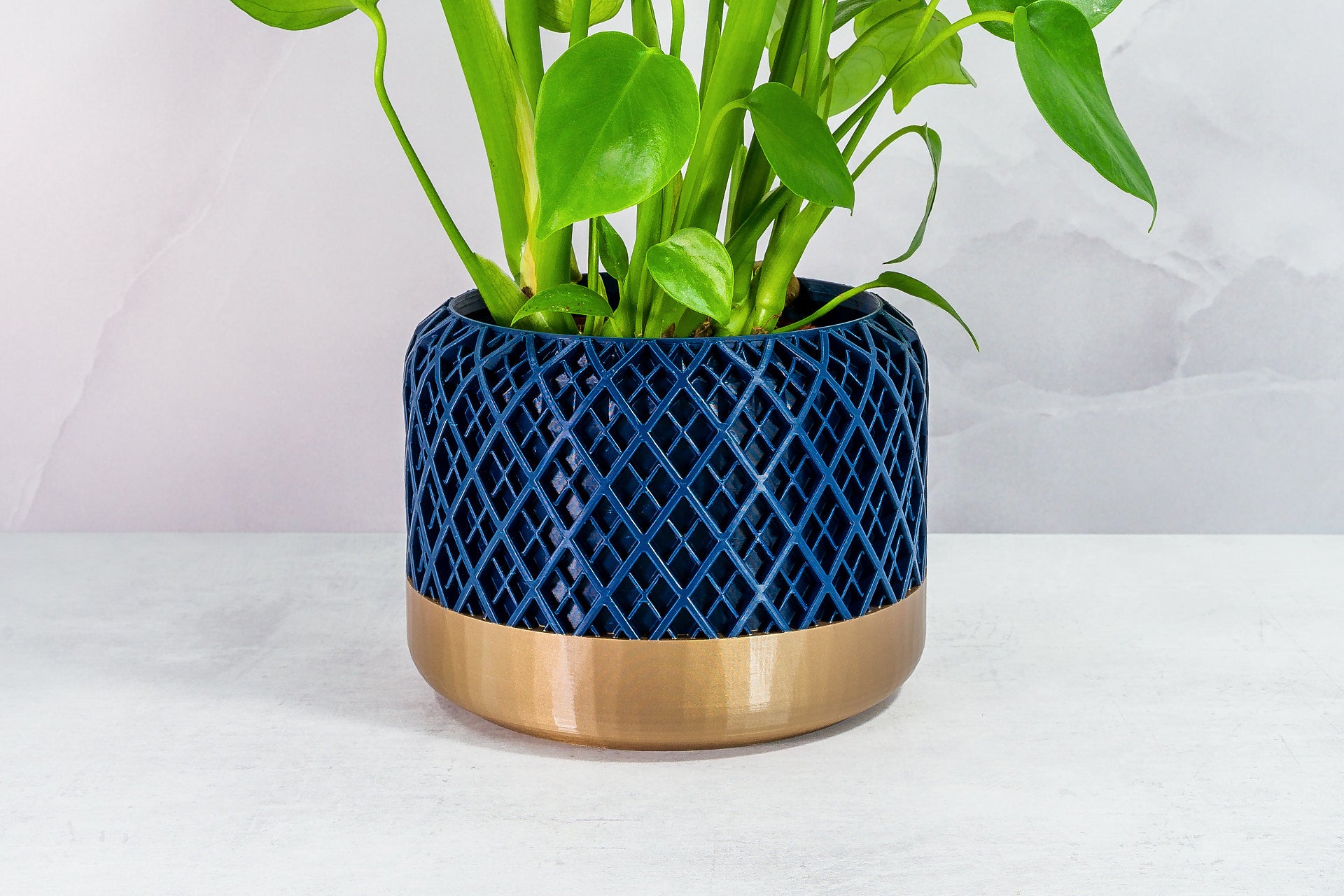 Zoomed In with Monstera: "Close-up of HATCH planter with gold base and navy pattern, featuring a monstera plant."
