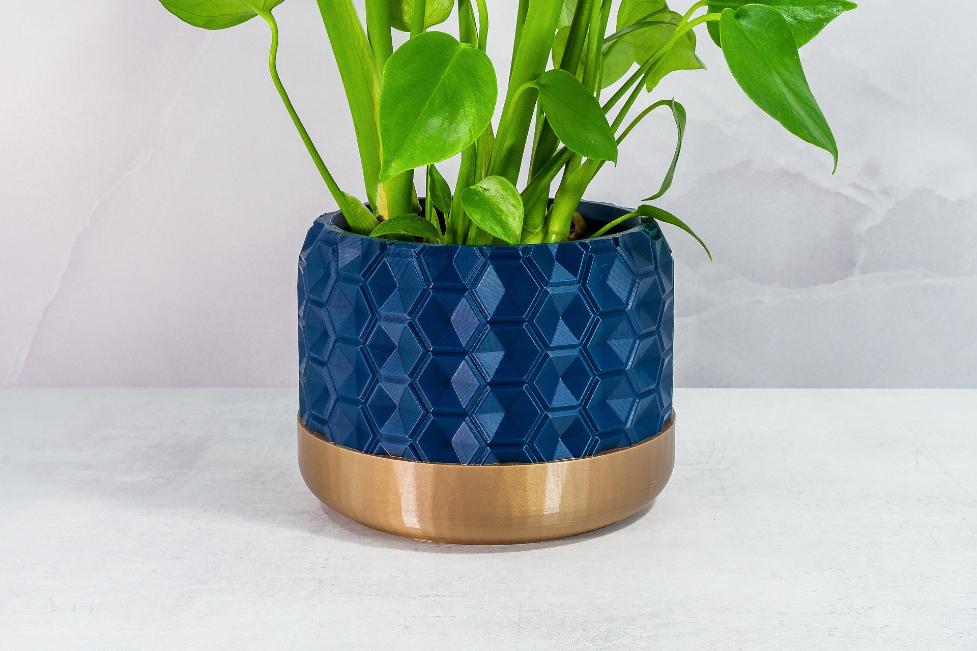 Zoomed In with Monstera: "Close-up of HEXA planter with gold base and navy pattern, featuring a monstera plant."
