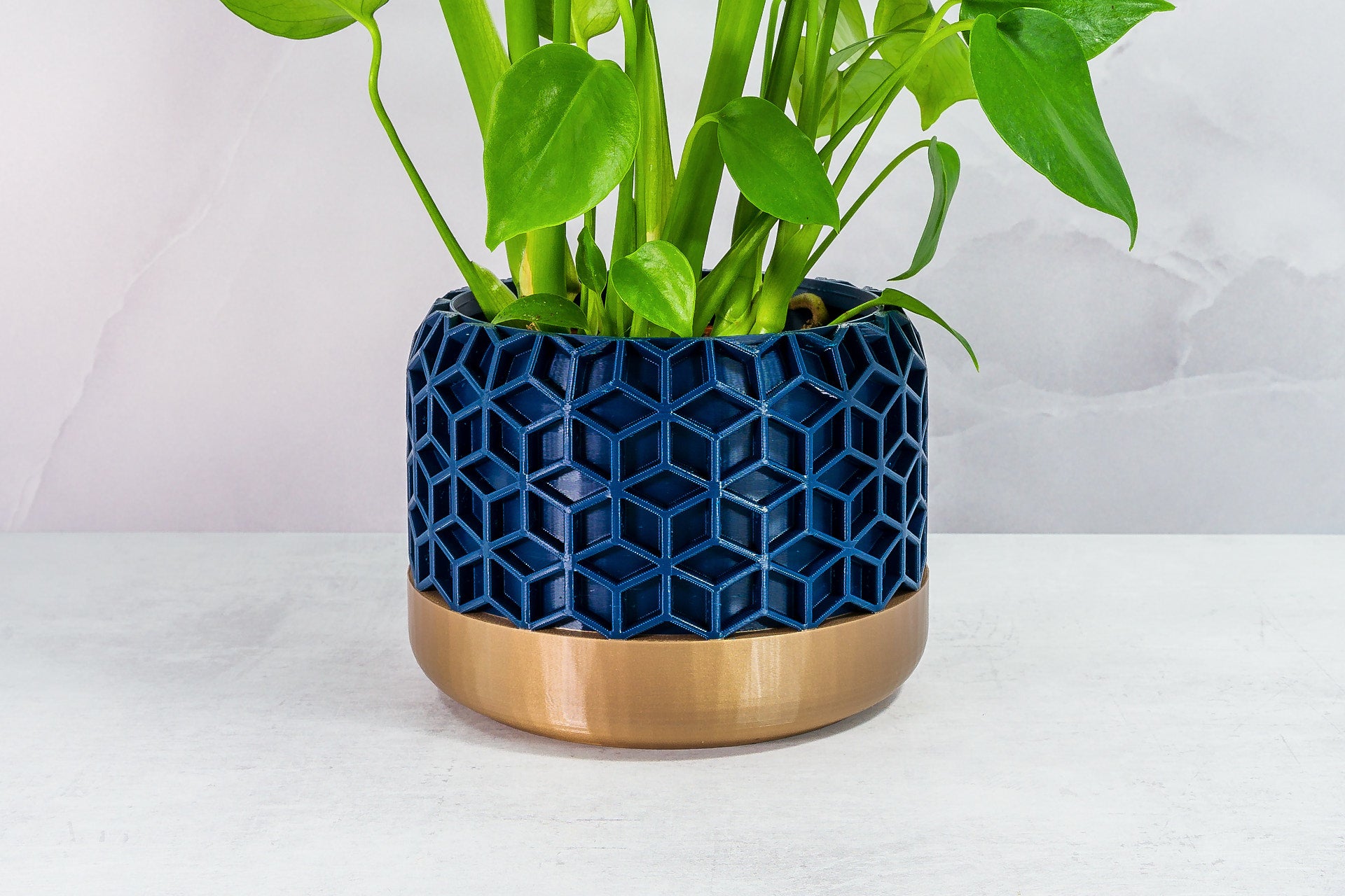 Zoomed In with Monstera: "Close-up of HONEYCOMB planter with gold base and navy pattern, featuring a monstera plant."
