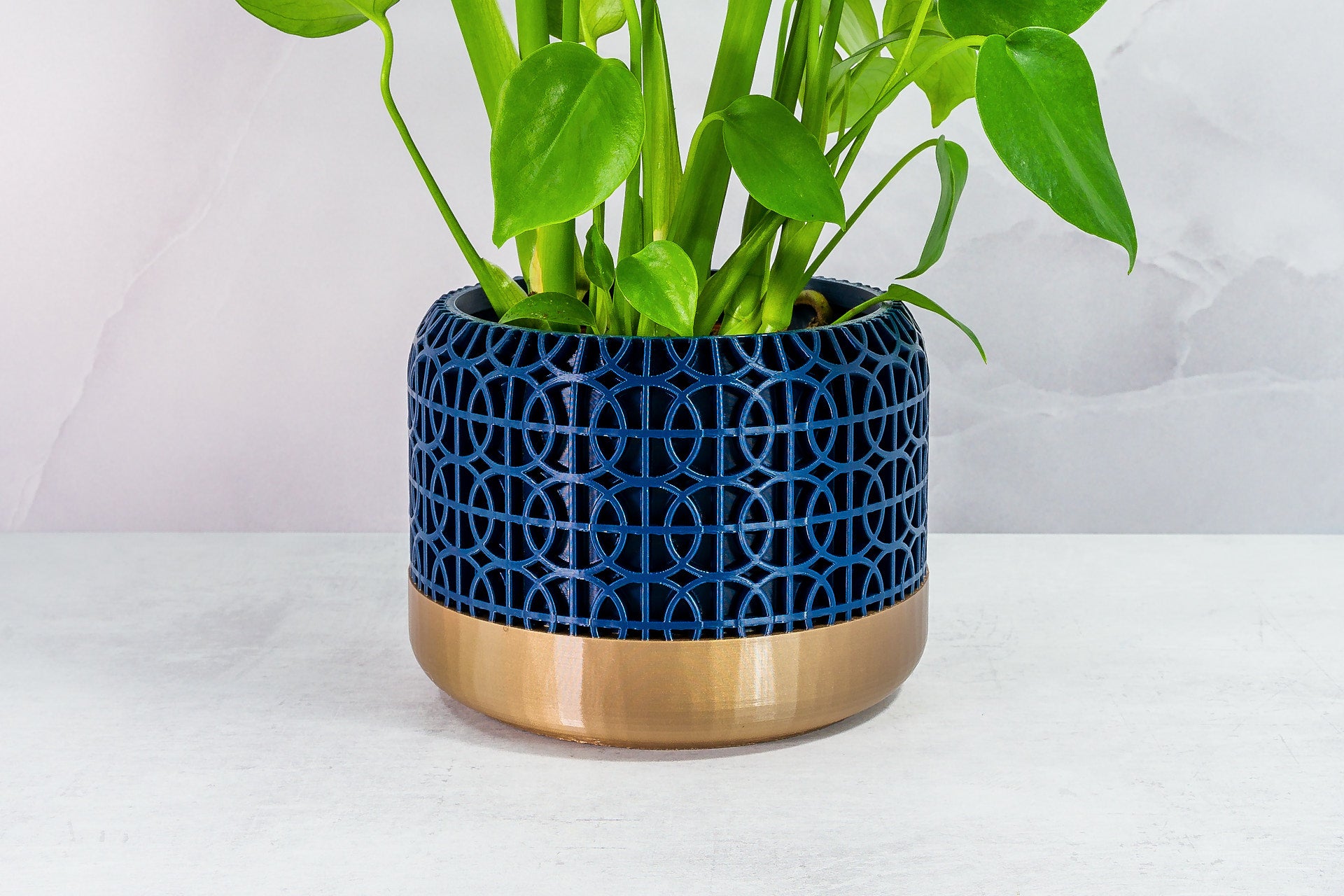 Zoomed In with Monstera: "Close-up of INTERSECT planter with gold base and navy pattern, featuring a monstera plant."
