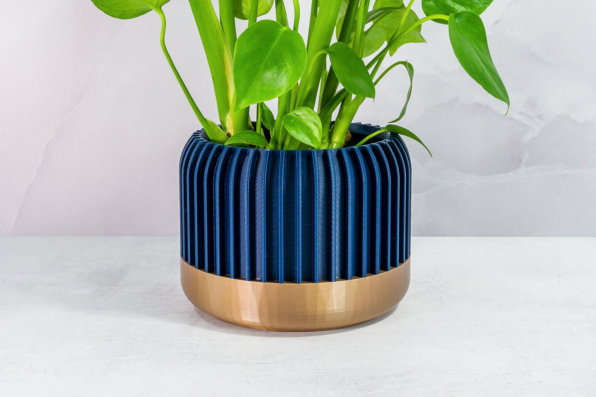 Zoomed In with Monstera: "Close-up of LINEAR planter with gold base and navy pattern, featuring a monstera plant."
