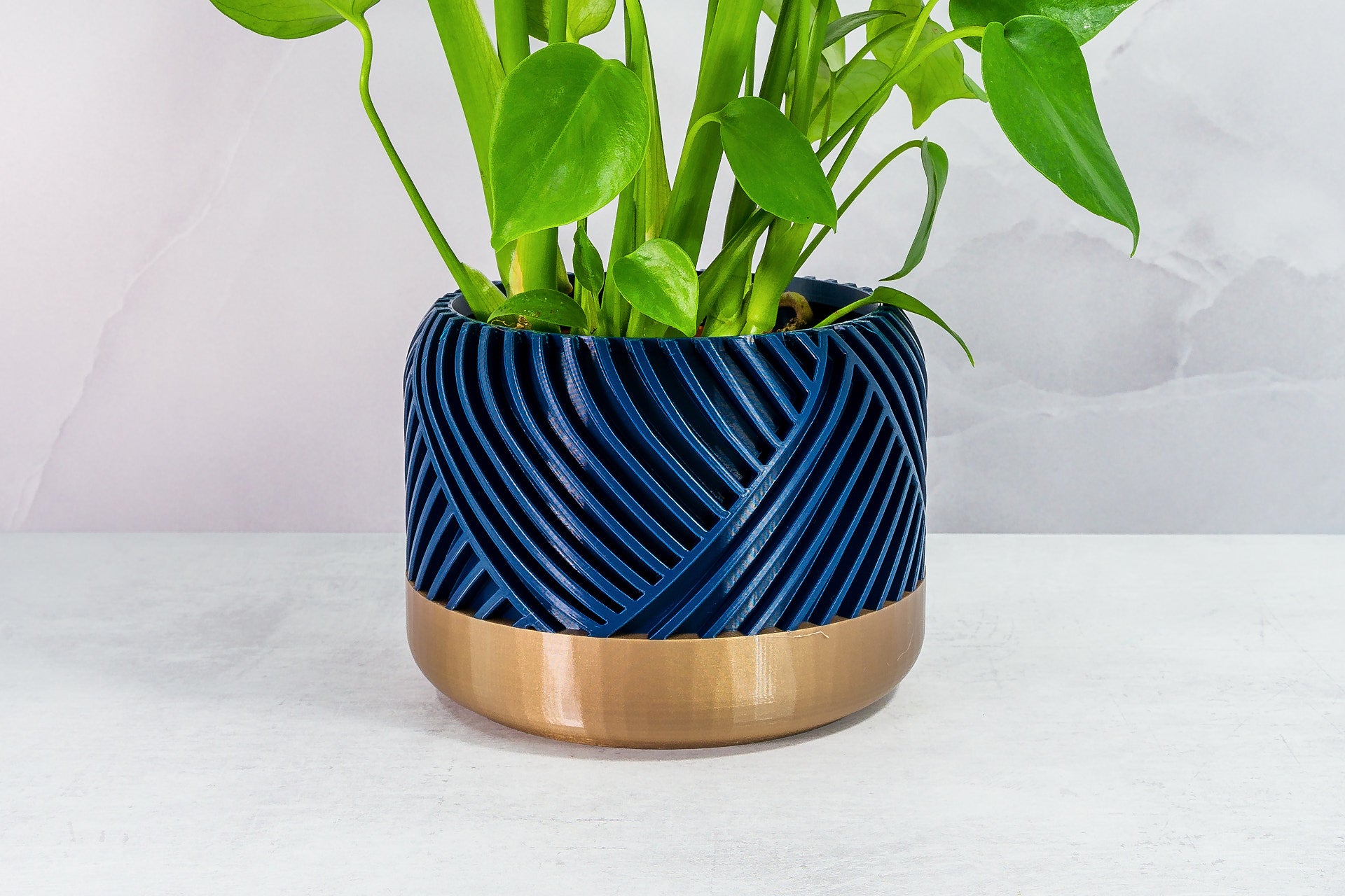 Zoomed In with Monstera: "Close-up of PEAK planter with gold base and navy pattern, featuring a monstera plant."
