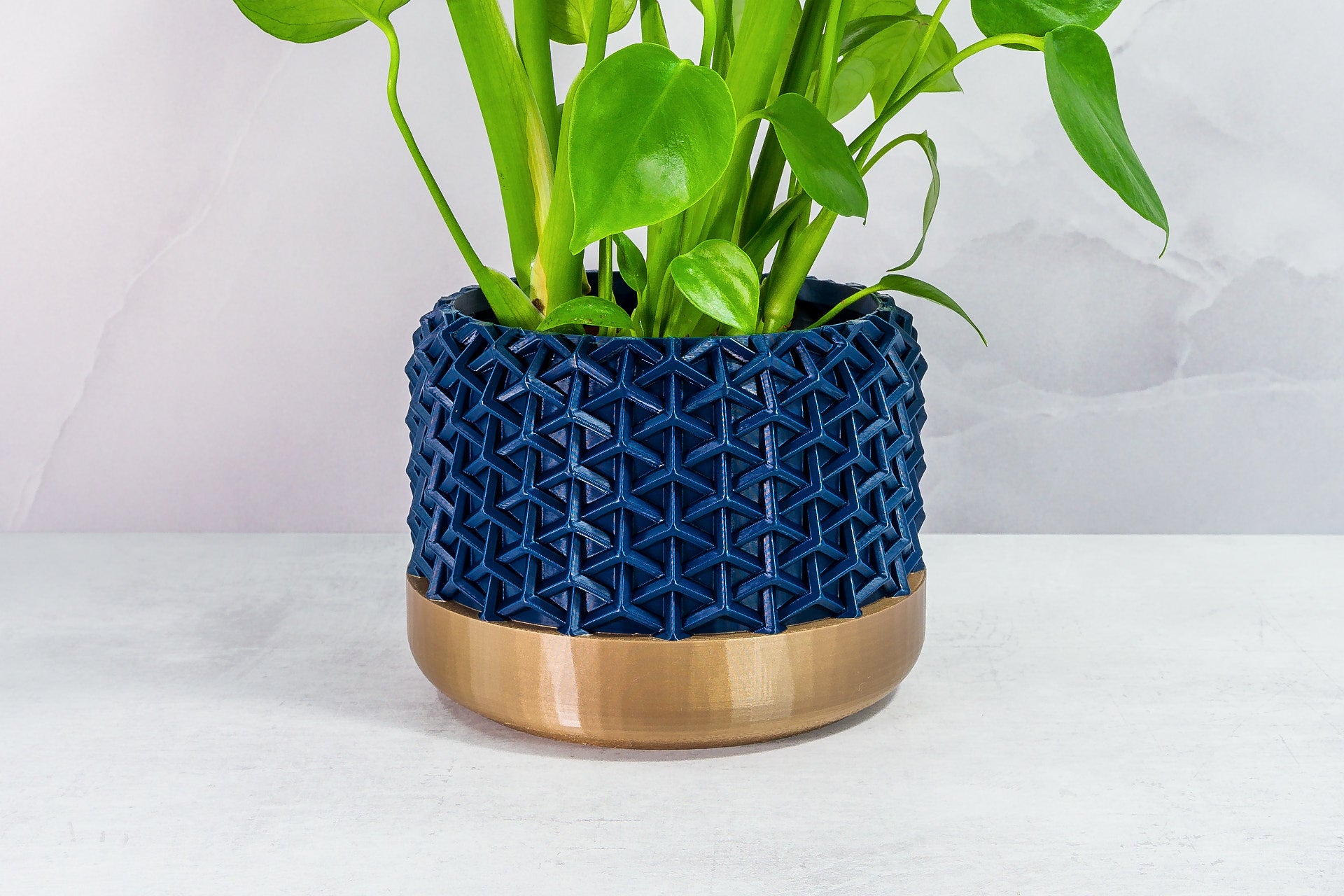 Zoomed In with Monstera: "Close-up of STELLAR planter with gold base and navy pattern, featuring a monstera plant."
