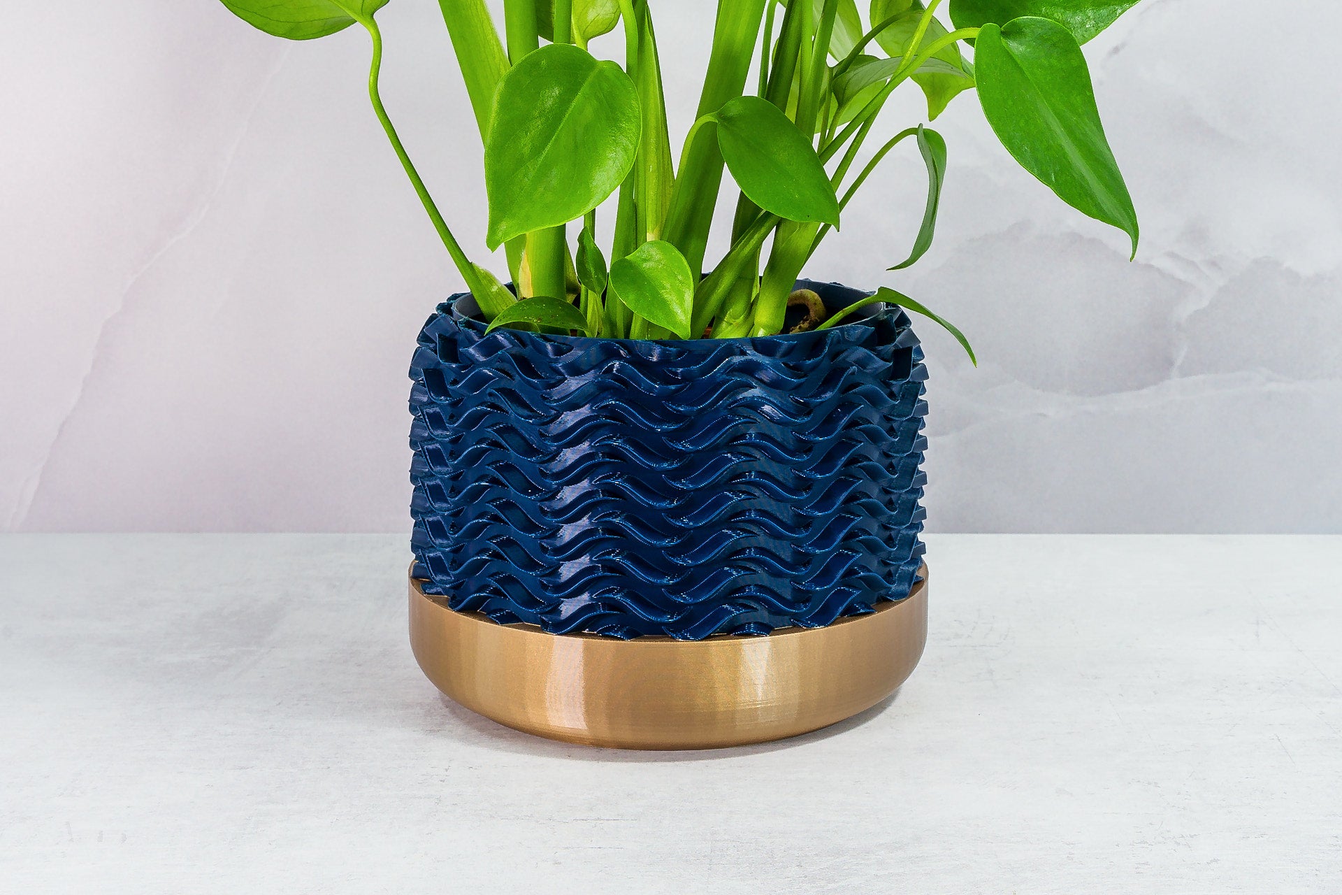 Zoomed In with Monstera: "Close-up of TIDAL planter with gold base and navy pattern, featuring a monstera plant."
