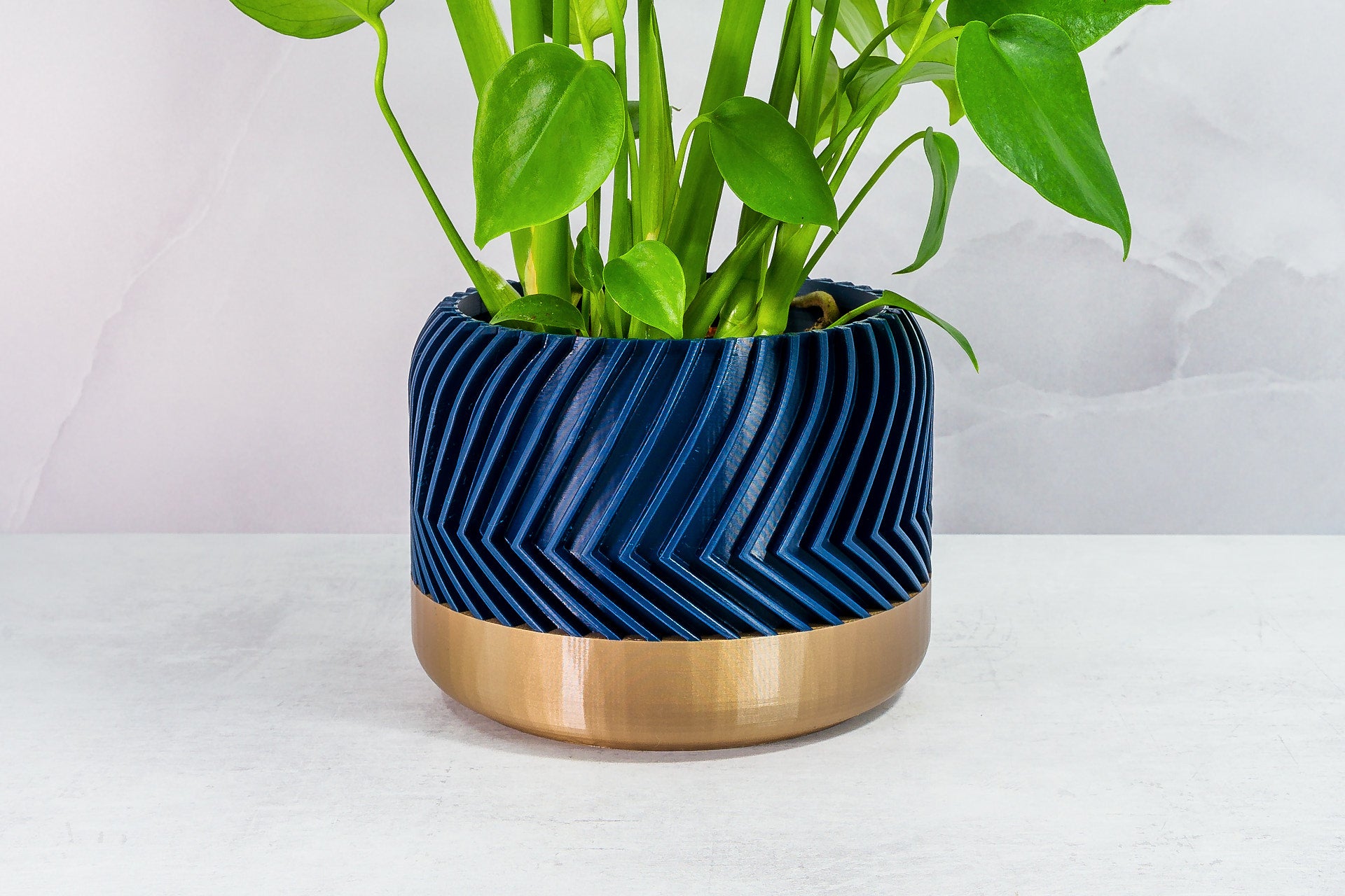 Zoomed In with Monstera: "Close-up of TREAD planter with gold base and navy pattern, featuring a monstera plant."
