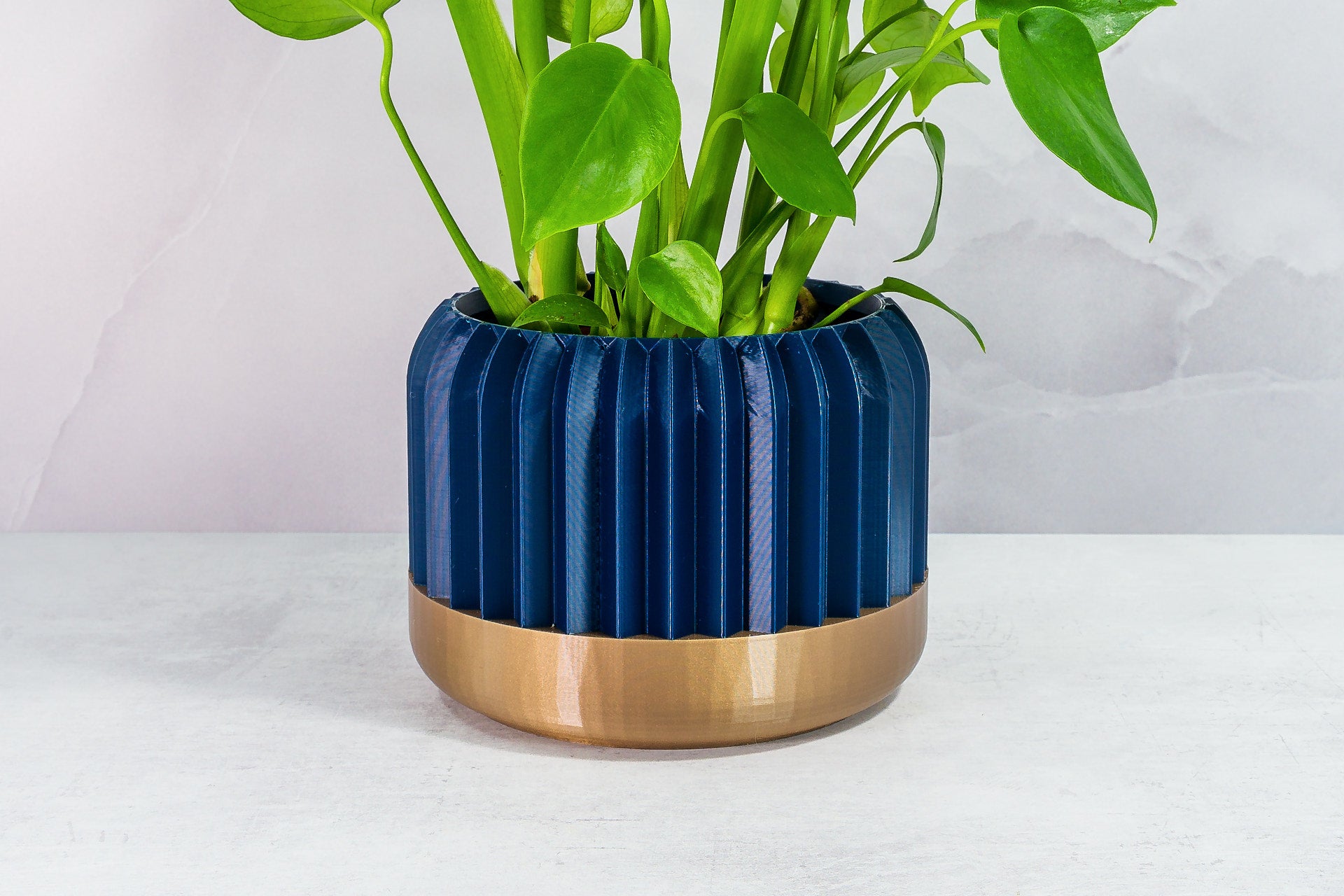 Zoomed In with Monstera: "Close-up of TRILINEAR planter with gold base and navy pattern, featuring a monstera plant."
