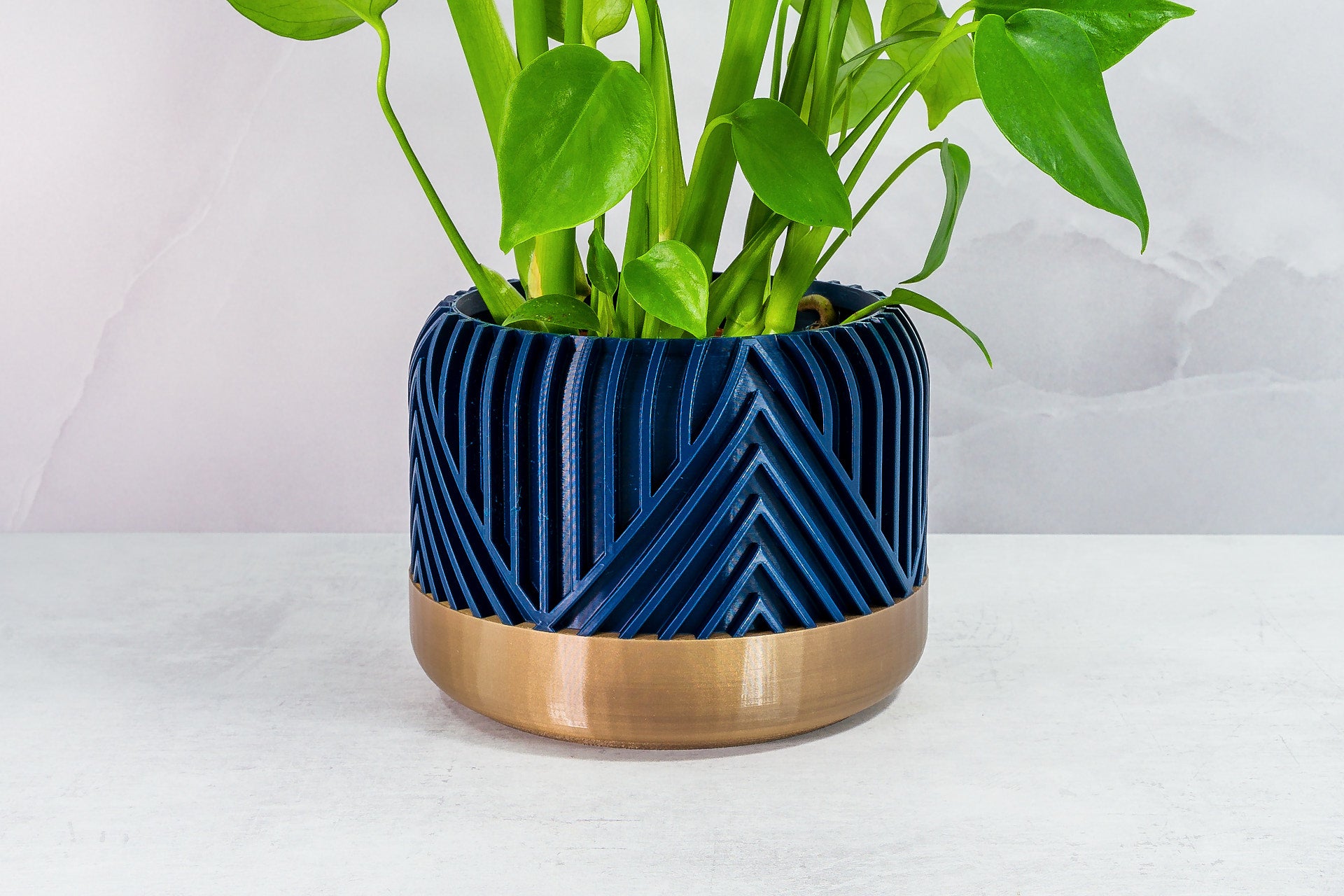 Zoomed In with Monstera: "Close-up of VERTI planter with gold base and navy pattern, featuring a monstera plant."
