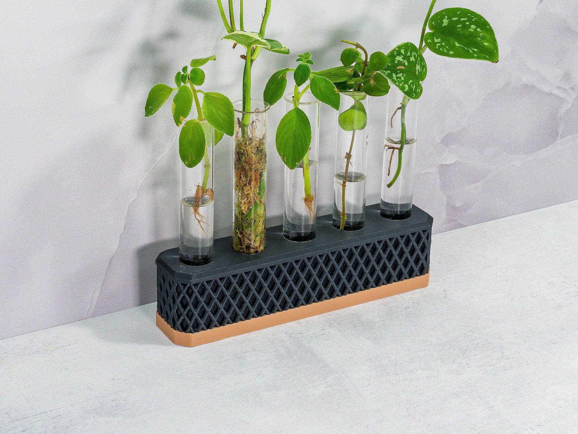 "Close-up angled shot of WOOD AND CARBON Propagation Station with various plant cuttings, highlighting the natural wood and modern carbon design."
