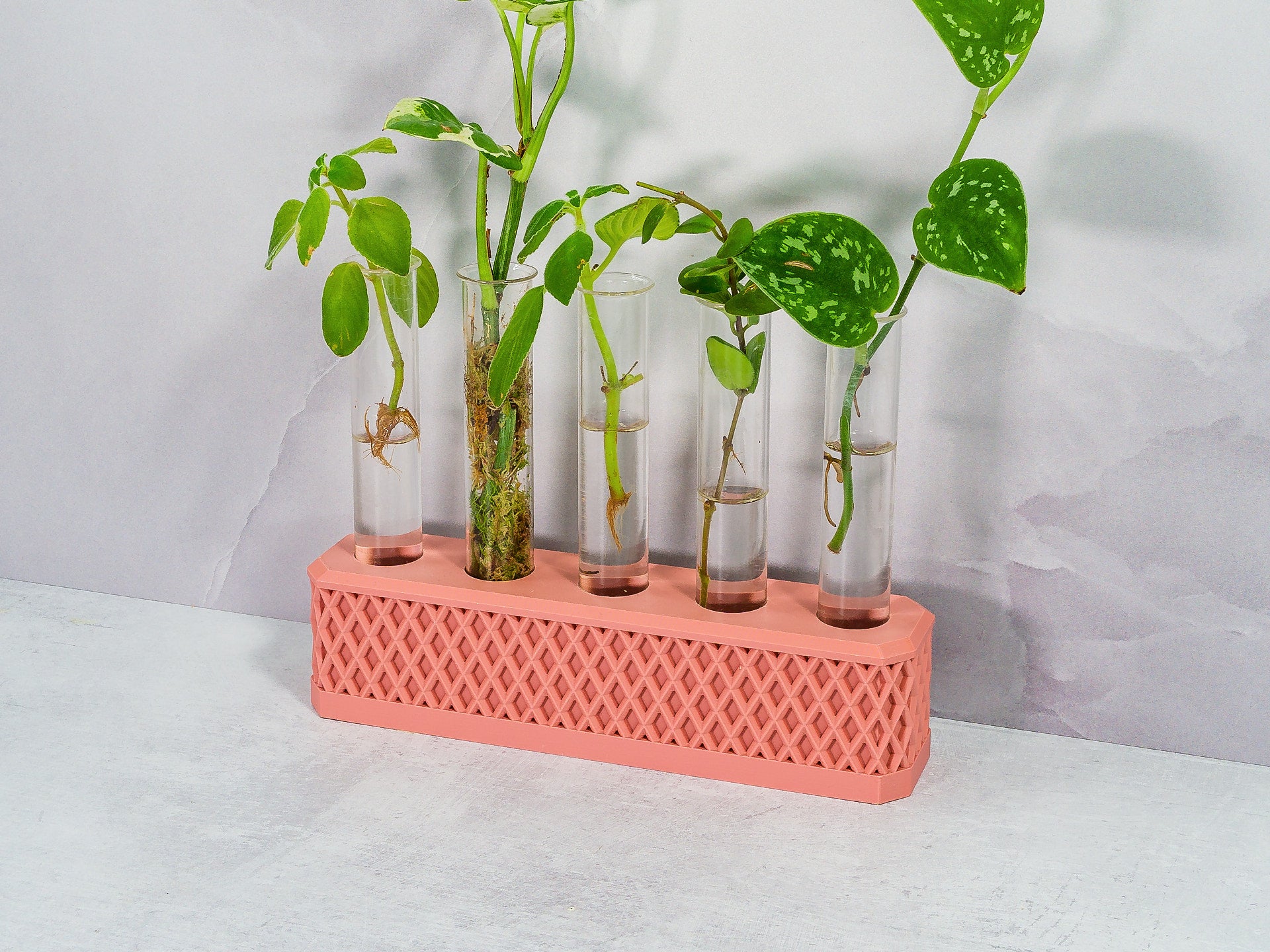 "Angled view of CLAY RED Propagation Station displaying an assortment of plant cuttings in water-filled tubes."
