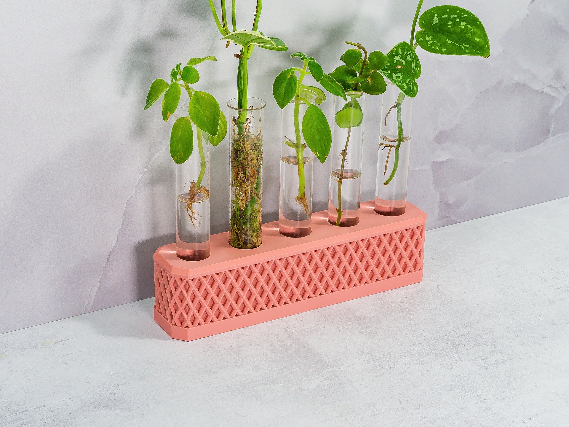 "Close-up angled shot of CLAY RED Propagation Station with various plant cuttings, highlighting the warm, rustic design."
