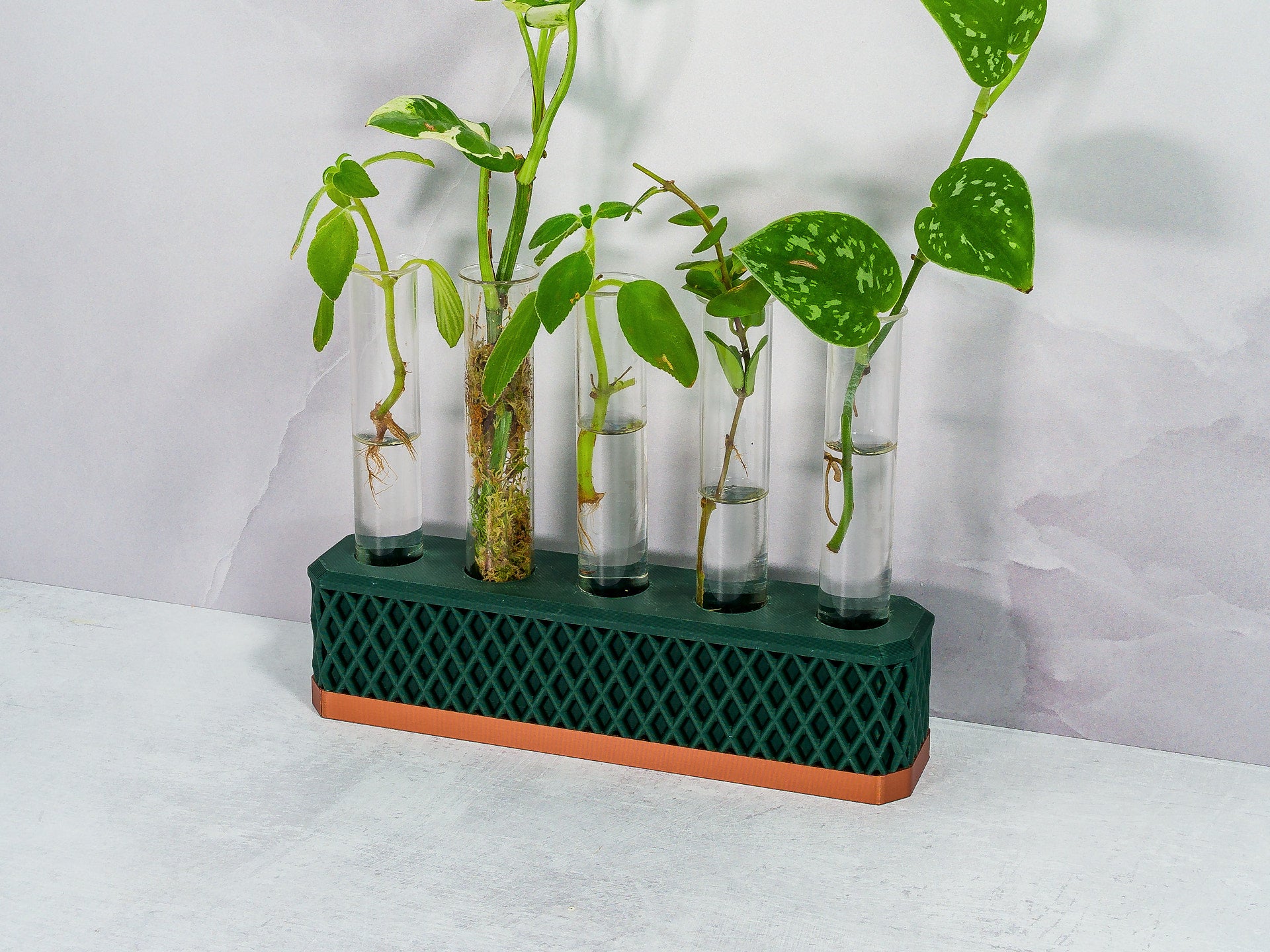 "Angled view of COPPER AND FOREST GREEN Propagation Station displaying various plant cuttings in water-filled tubes."
