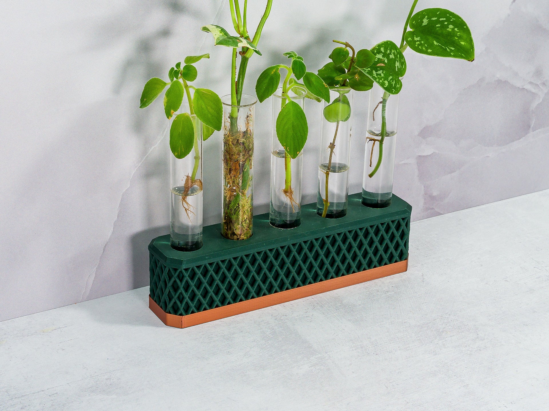 "Close-up angled shot of COPPER AND FOREST GREEN Propagation Station with diverse plant cuttings, highlighting the copper and green design."
