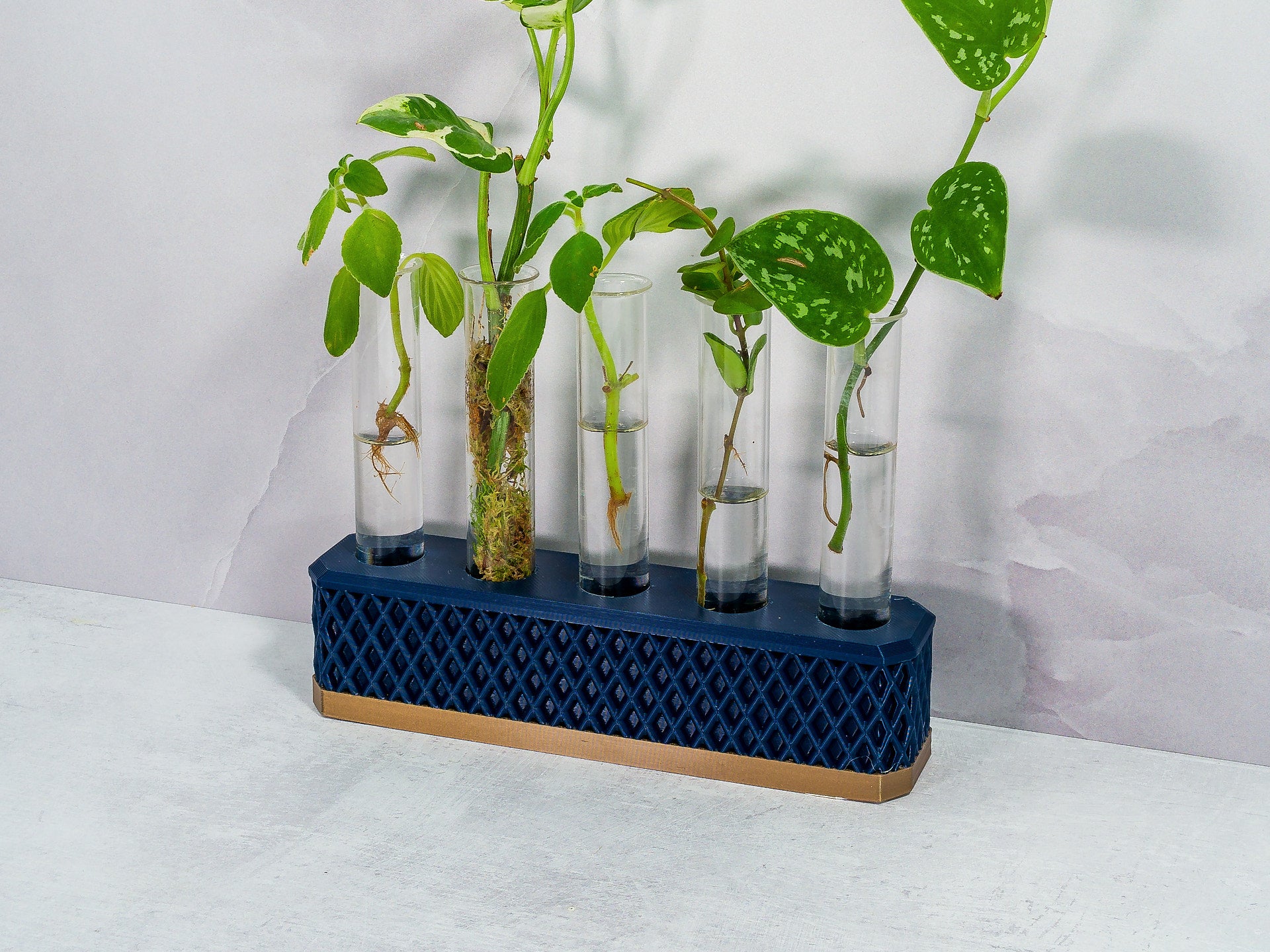 "Angled view of MIDNIGHT Propagation Station featuring a variety of plant cuttings in water-filled tubes."
