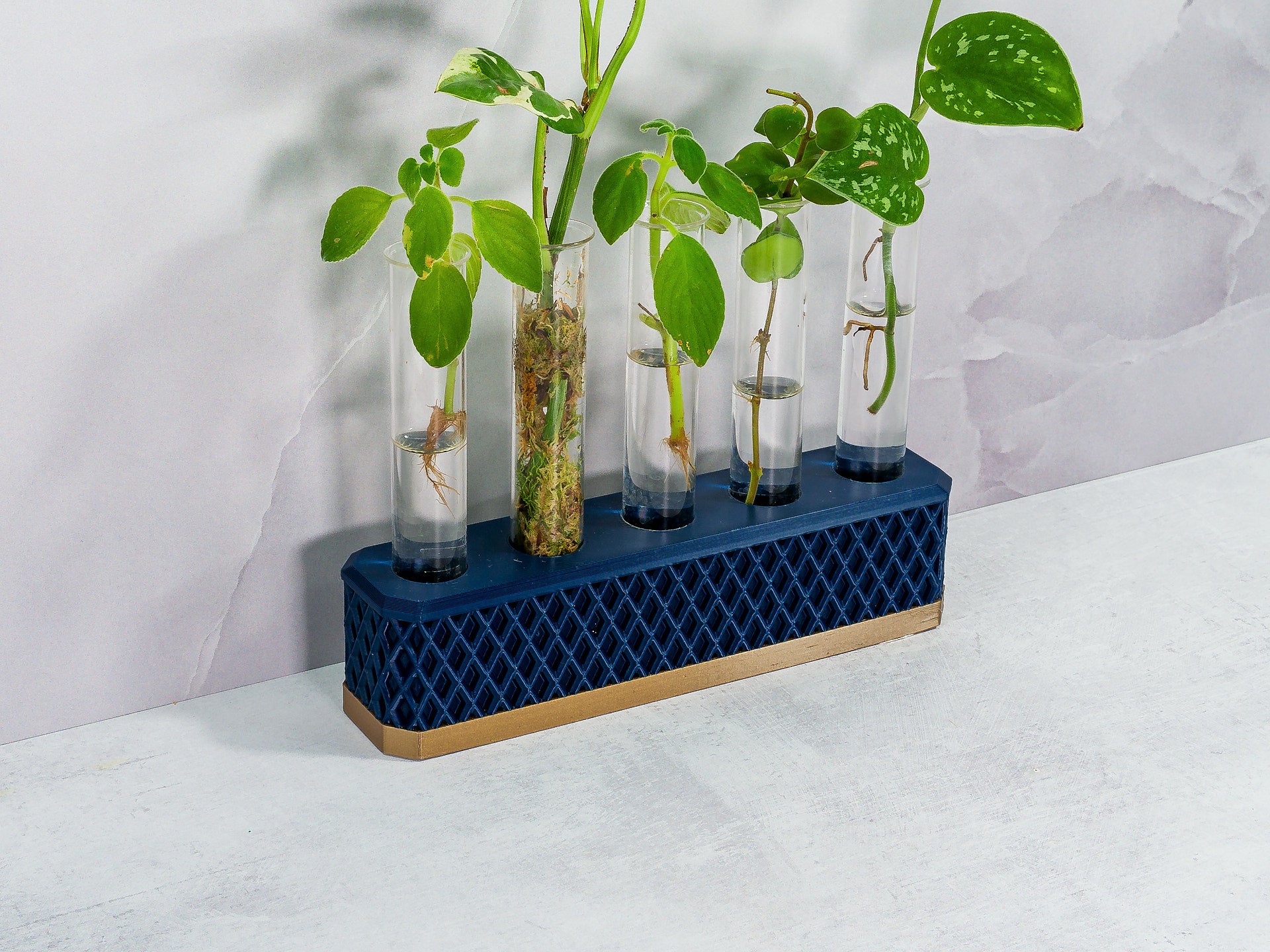 "Close-up angled shot of MIDNIGHT Propagation Station with diverse plant cuttings, emphasising the luxurious gold and navy design."
