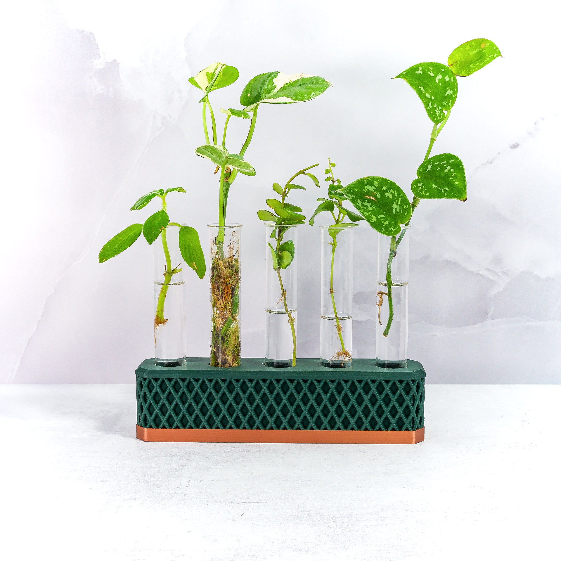 "Front-facing image of COPPER AND FOREST GREEN Propagation Station filled with growing plant cuttings, emphasising its functionality and style."
