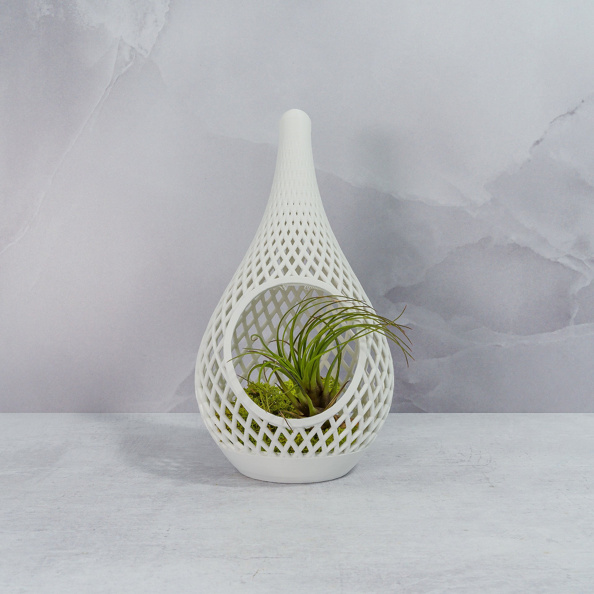 "Sitting, front-facing MATTE WHITE TEARDROP planter displayed with preserved moss and a delicate air plant, enhancing its modern simplicity."
