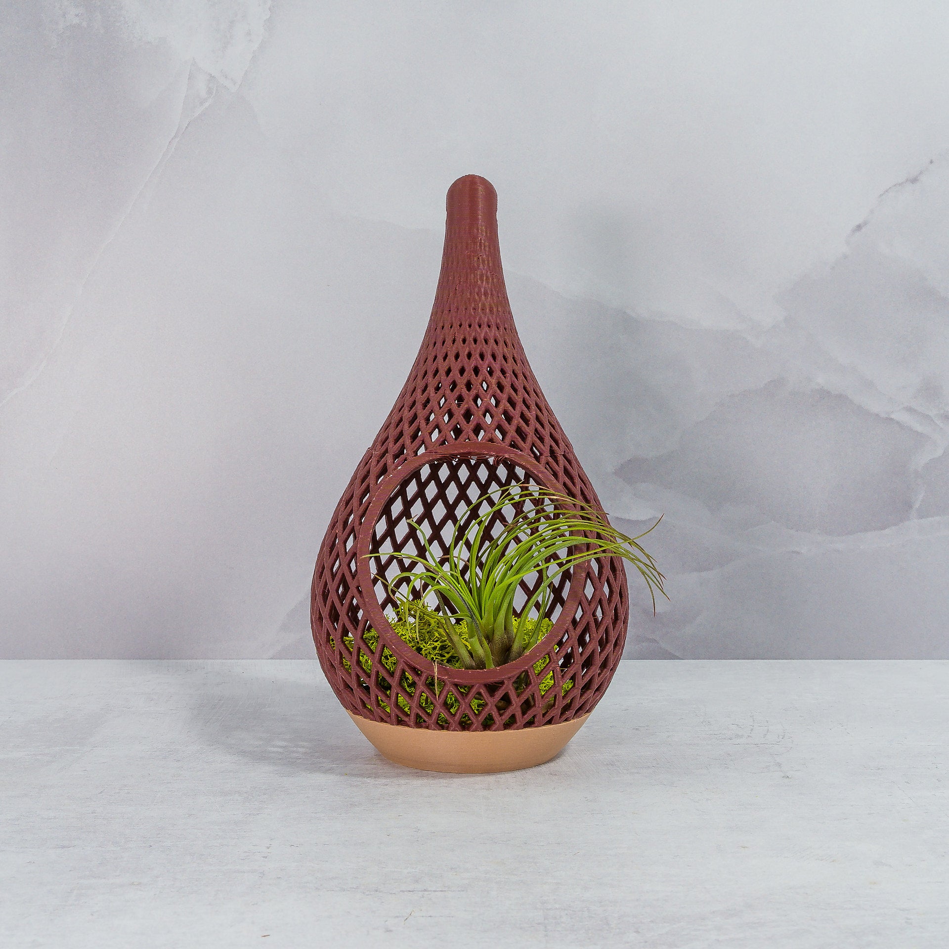 "Sitting, front-facing WOOD AND RUBY RED TEARDROP planter displayed with preserved moss and a delicate air plant, enhancing its striking look."
