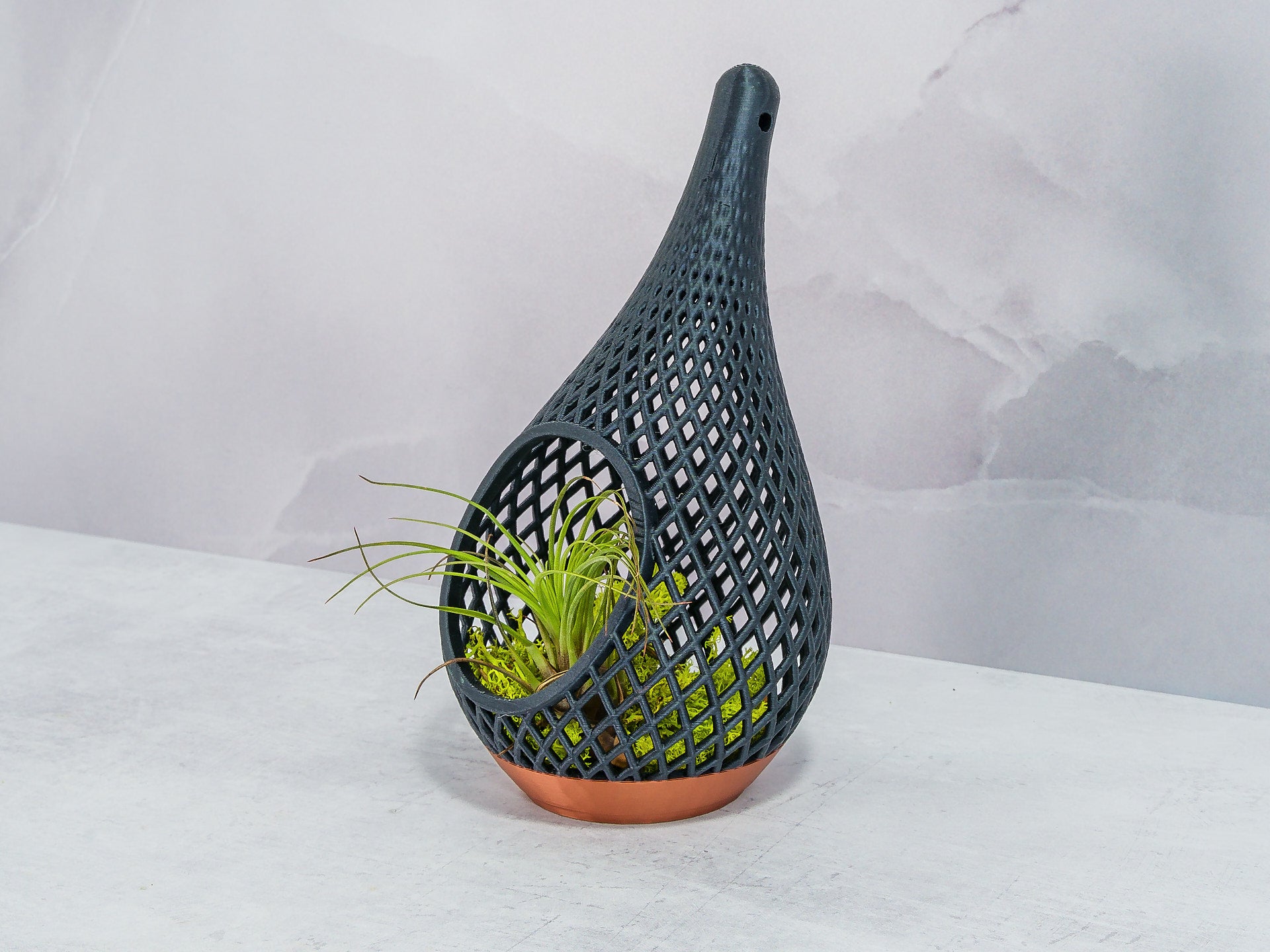 "Angled view of COPPER AND CARBON TEARDROP planter sitting and showcasing preserved moss with an air plant, enhancing its contemporary design."
