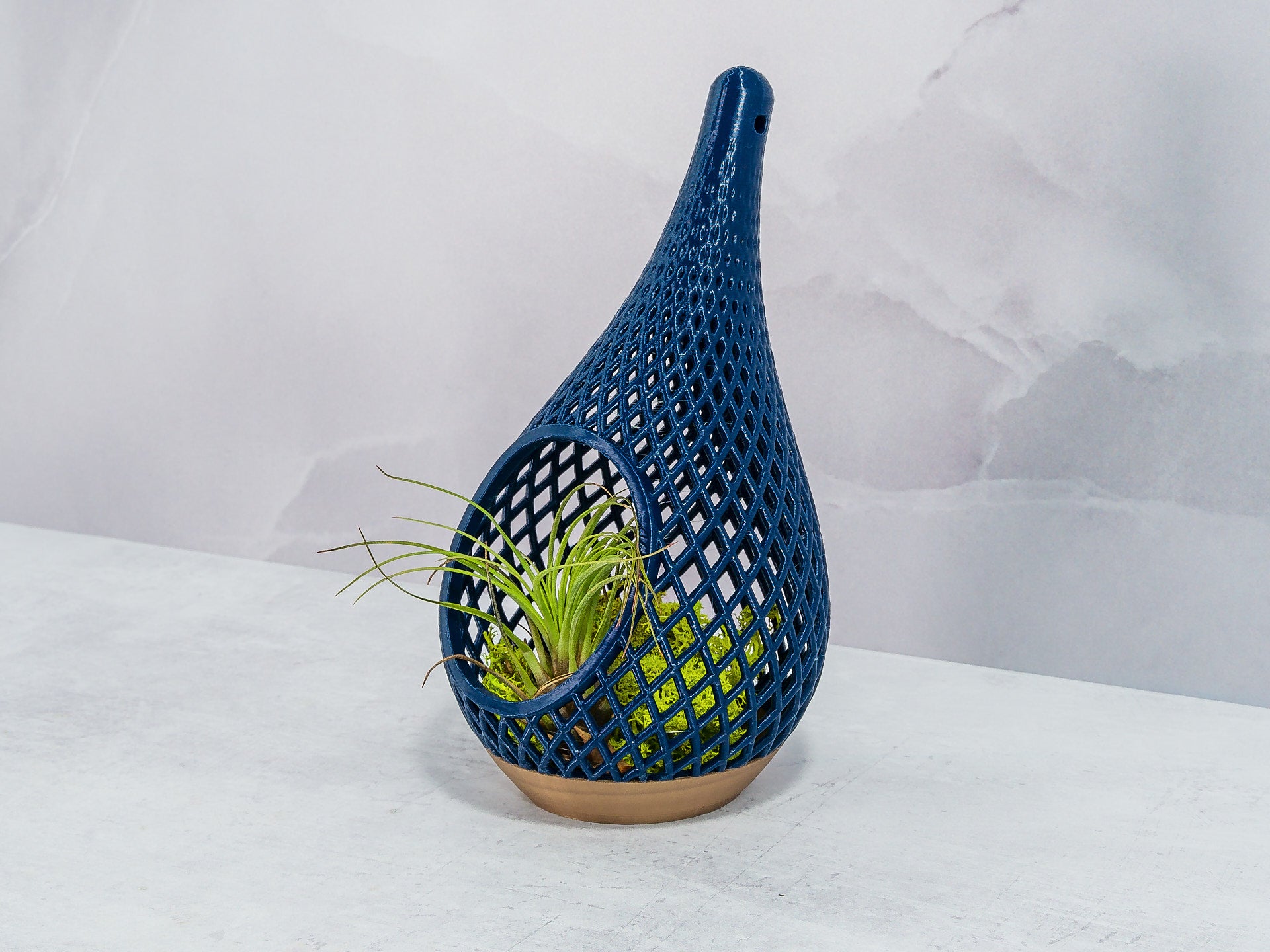 "Angled view of TREASURY GOLD AND NAVY TEARDROP planter sitting and showcasing preserved moss with an air plant, highlighting elegant textures."
