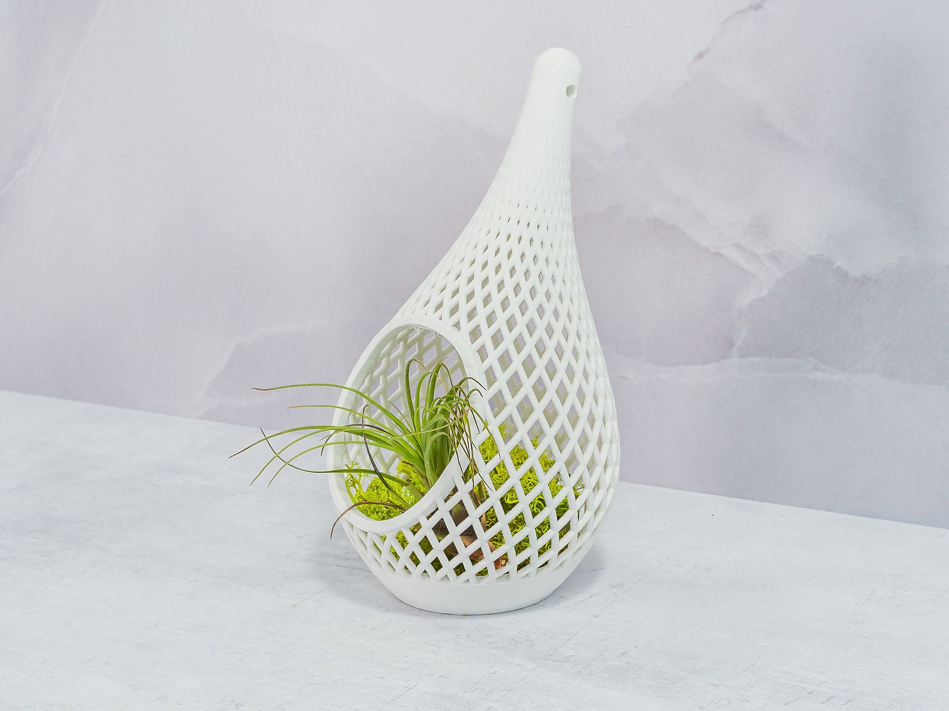 "Angled view of MATTE WHITE TEARDROP planter sitting and showcasing preserved moss with an air plant, highlighting the contrast of textures."
