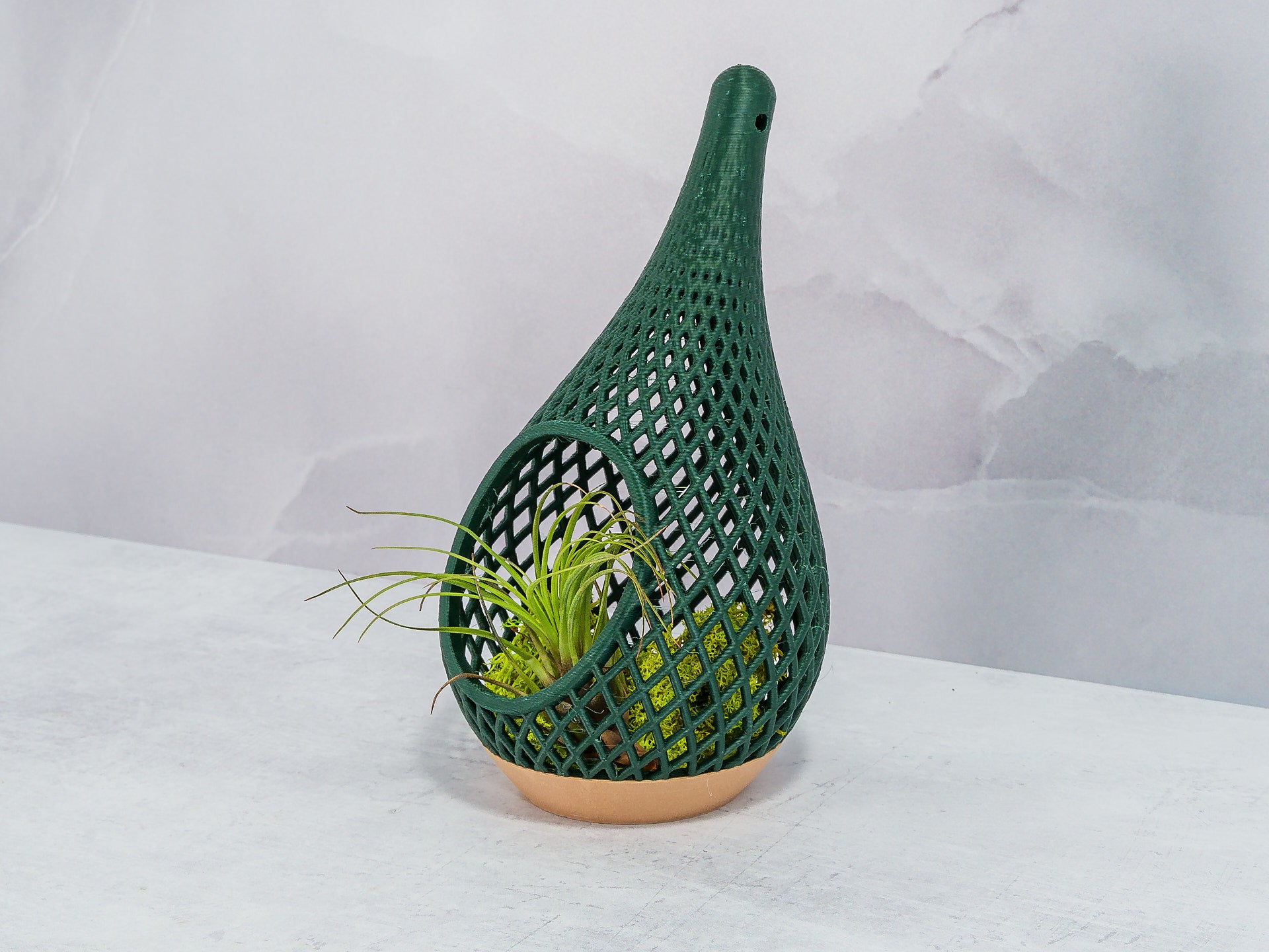 "Angled view of WOOD AND GREEN TEARDROP planter sitting and showcasing preserved moss with an air plant, highlighting the natural textures."
