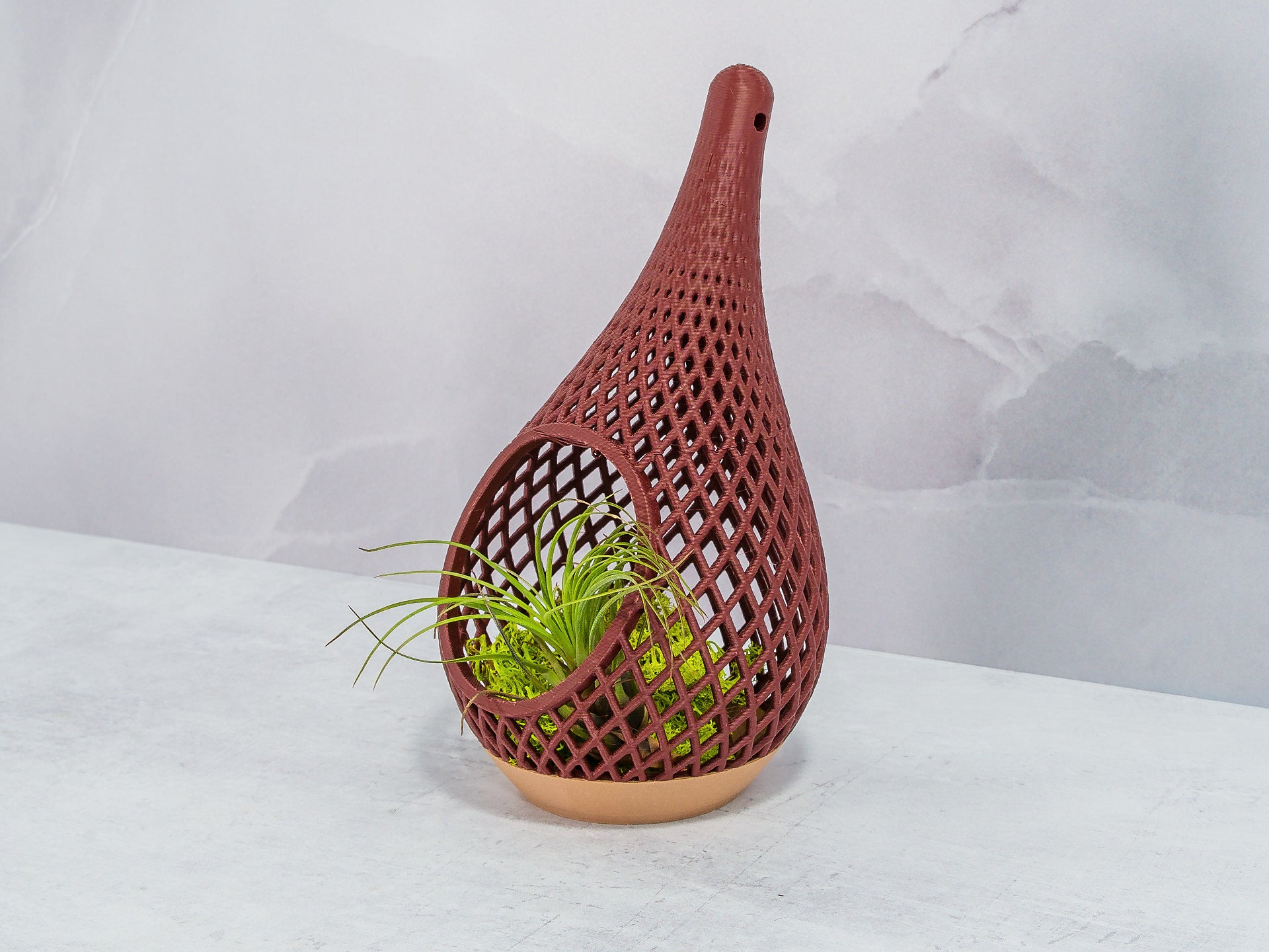 "Angled view of WOOD AND RUBY RED TEARDROP planter sitting and showcasing preserved moss with an air plant, highlighting textures and colors."
