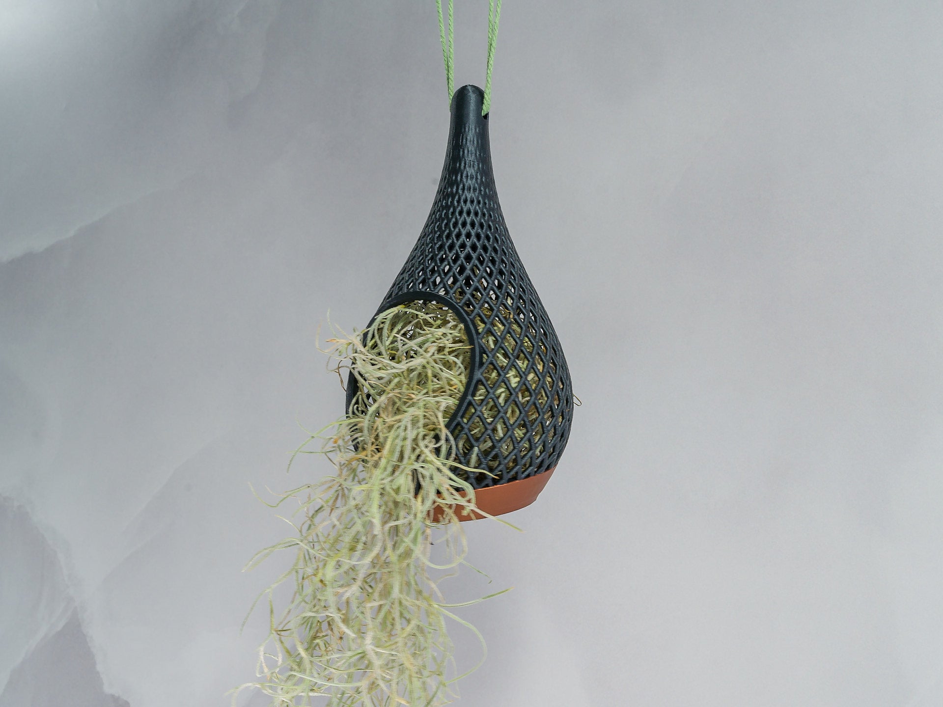 "Angled view of COPPER AND CARBON TEARDROP planter hanging with a vibrant tillandsia plant inside, trailing down beautifully."
