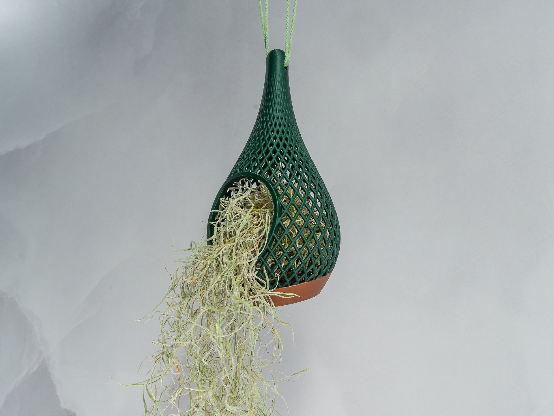 "Angled view of COPPER AND FOREST GREEN TEARDROP planter hanging with a vibrant tillandsia plant inside, trailing down gracefully."
