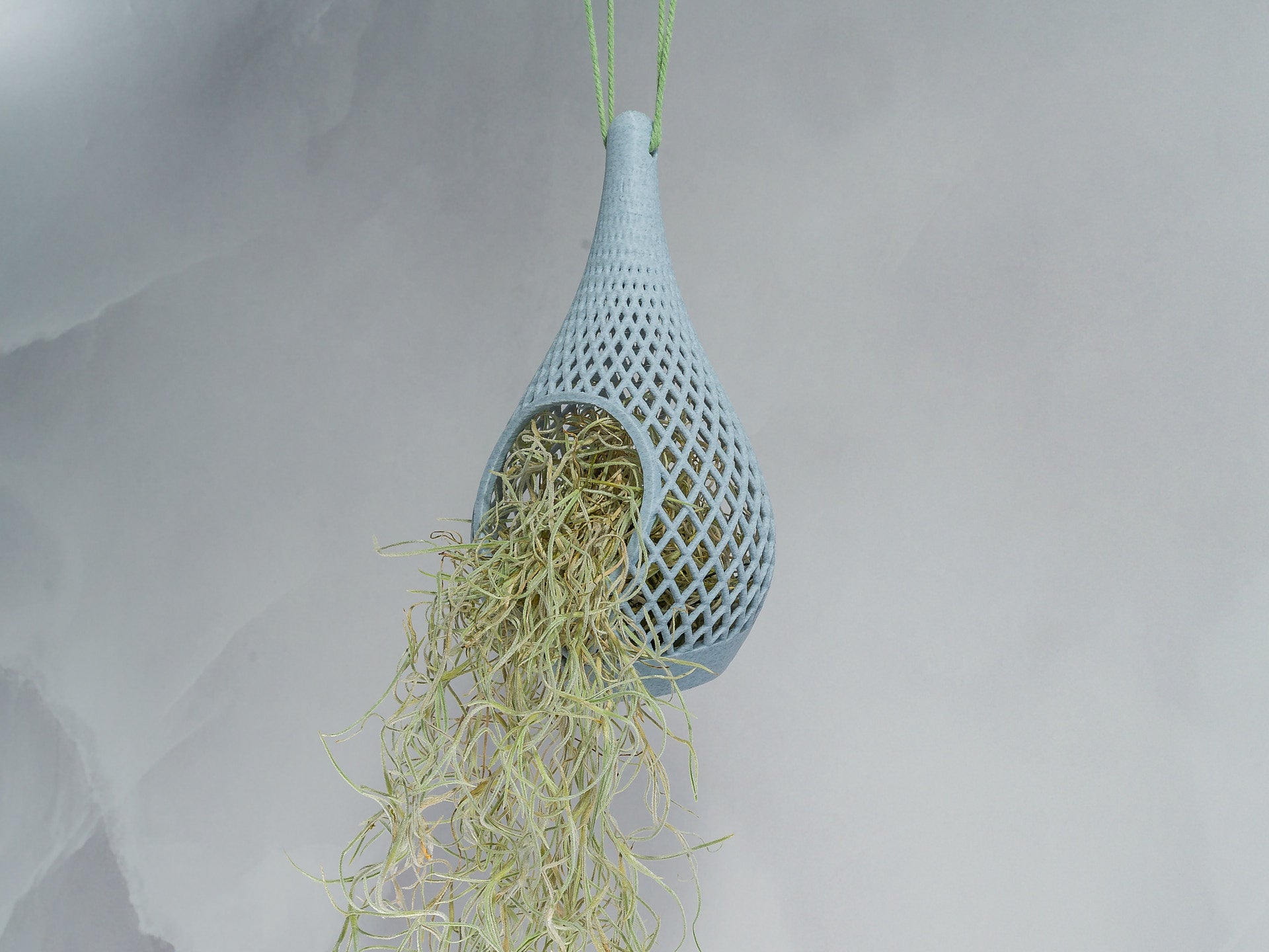 "Angled view of MARBLE TEARDROP planter hanging with a vibrant tillandsia plant inside, trailing down gracefully."
