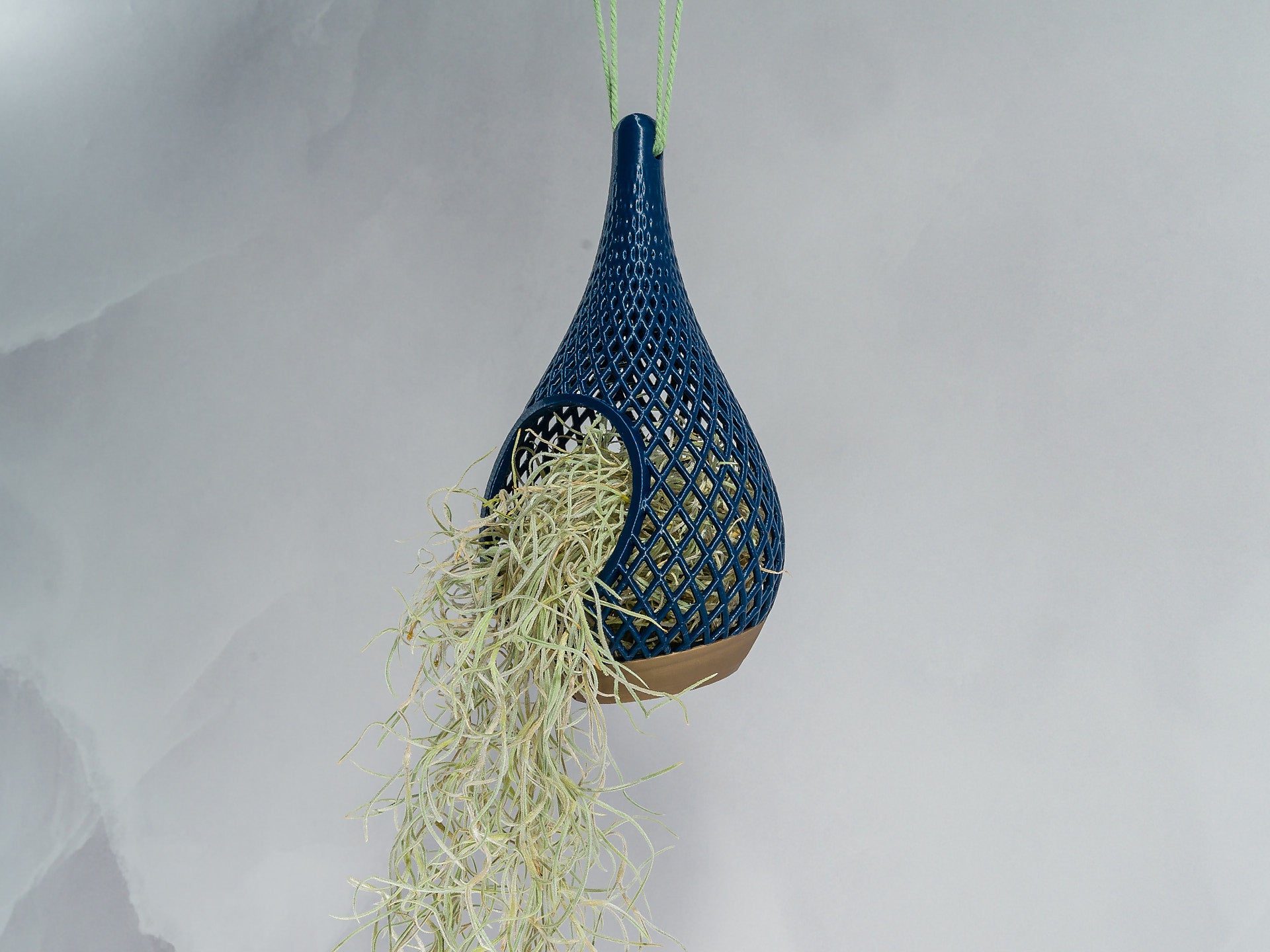 "Angled view of TREASURY GOLD AND NAVY TEARDROP planter hanging with a vibrant tillandsia plant inside, trailing down stylishly."
