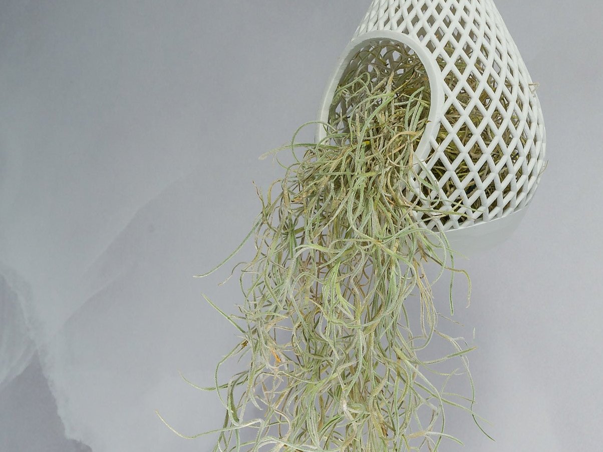 "Angled view of MATTE WHITE TEARDROP planter hanging with a vibrant tillandsia plant inside, trailing down beautifully."
