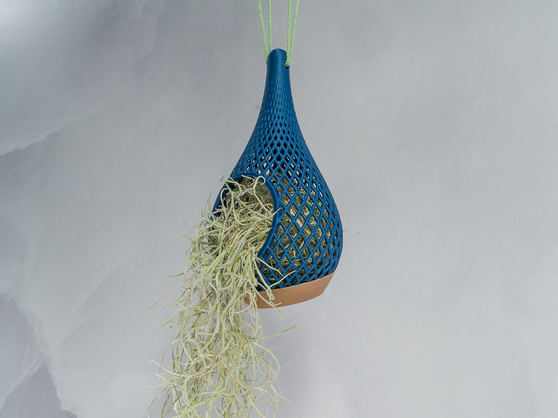 "Angled view of WOOD AND LIGHT BLUE TEARDROP planter hanging with a vibrant tillandsia plant inside, trailing down gracefully."
