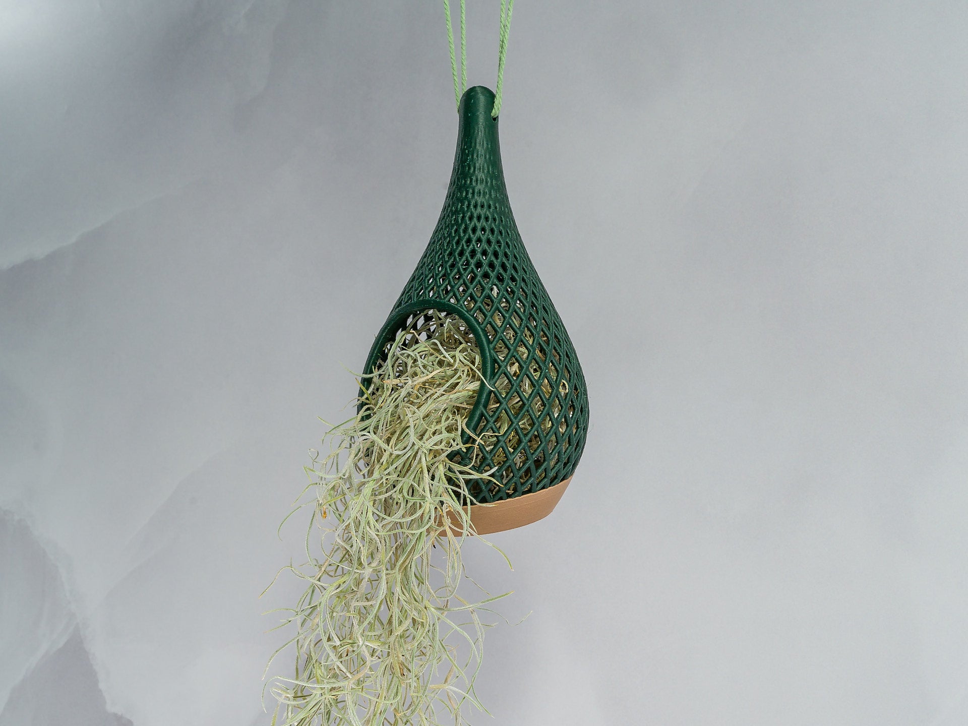 "Angled view of WOOD AND GREEN TEARDROP planter hanging with a vibrant tillandsia plant inside, trailing down gracefully."
