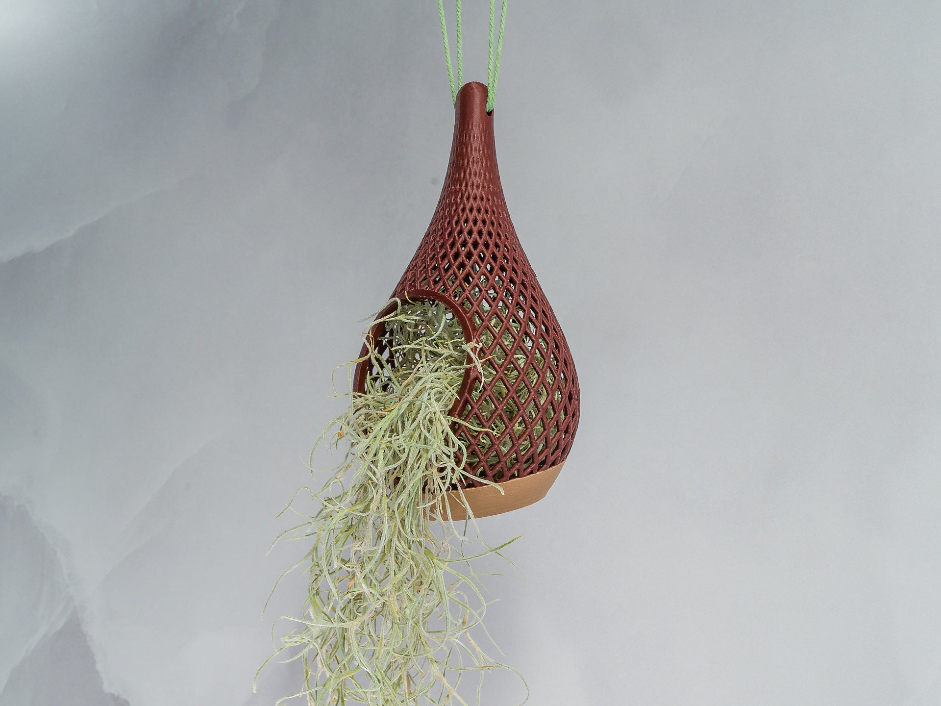 "Angled view of WOOD AND RUBY RED TEARDROP planter hanging with a vibrant tillandsia plant inside, trailing down stylishly."
