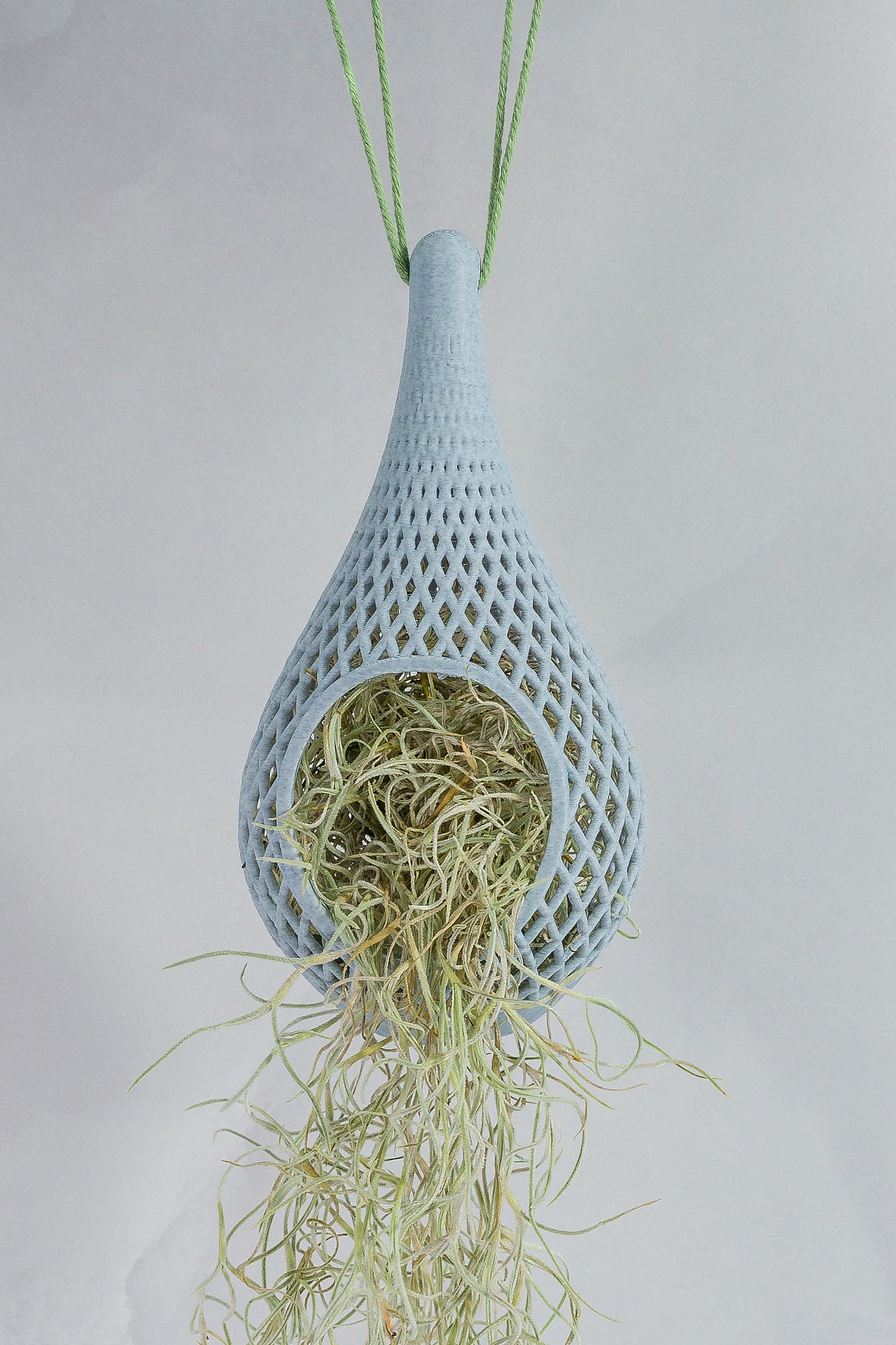 "Front-facing image of MARBLE TEARDROP planter hanging with a live tillandsia plant inside, trailing down elegantly."
