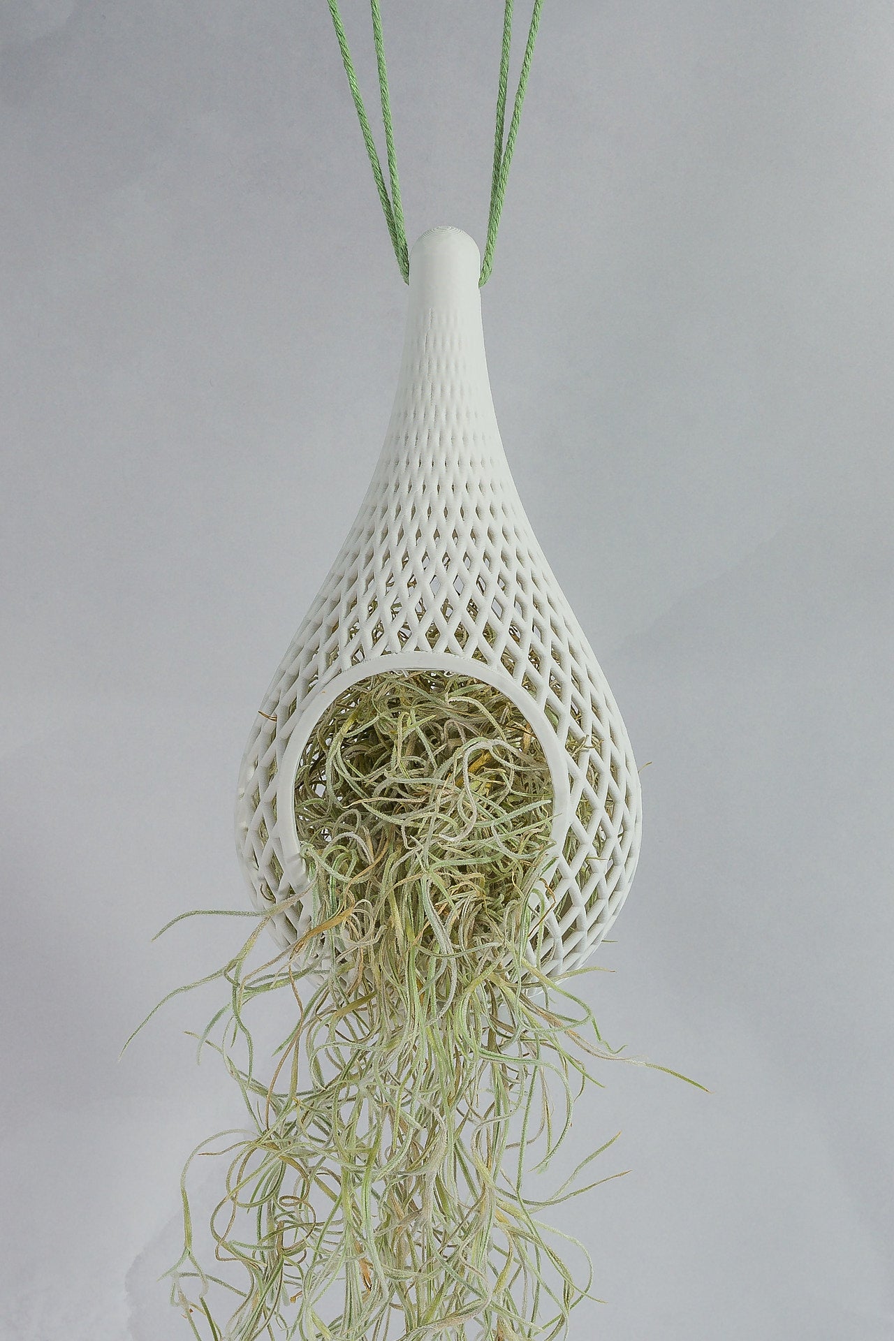 "Front-facing image of MATTE WHITE TEARDROP planter hanging with a live tillandsia plant inside, trailing down stylishly."
