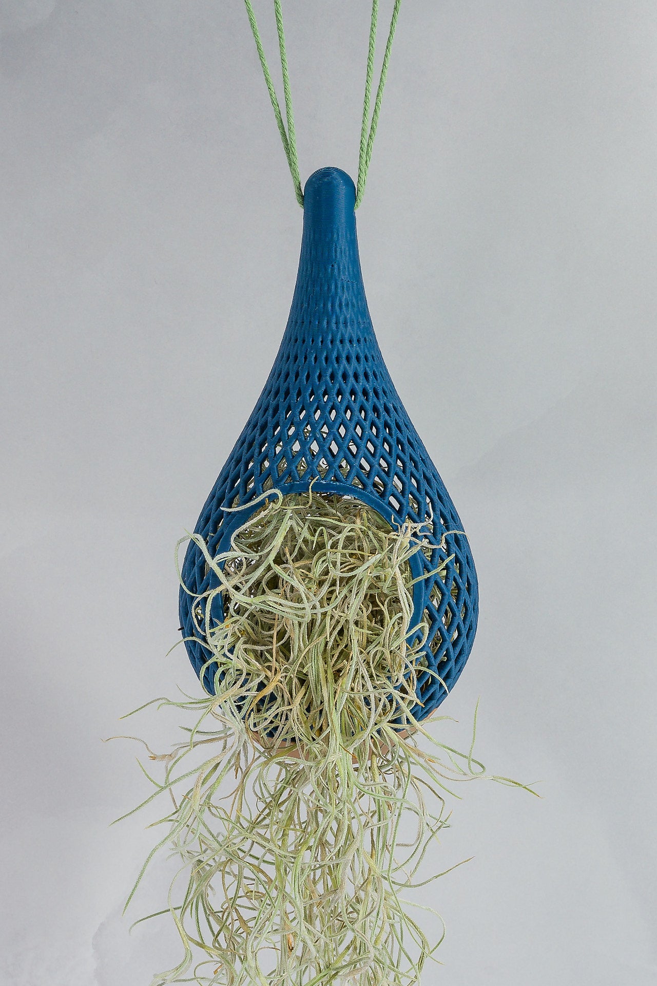 "Front-facing image of WOOD AND LIGHT BLUE TEARDROP planter hanging with a live tillandsia plant inside, trailing down elegantly."
