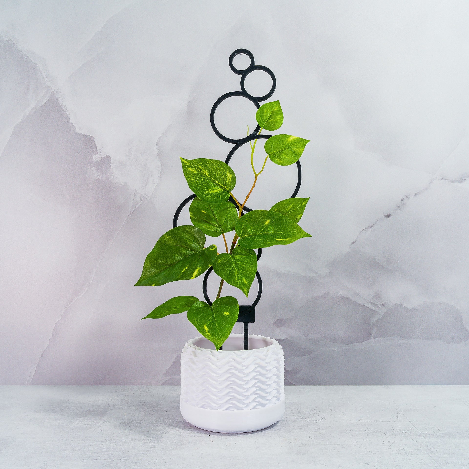 "CARBON Circles Trellis Spike with climbing plant winding through its modern design, front view."
