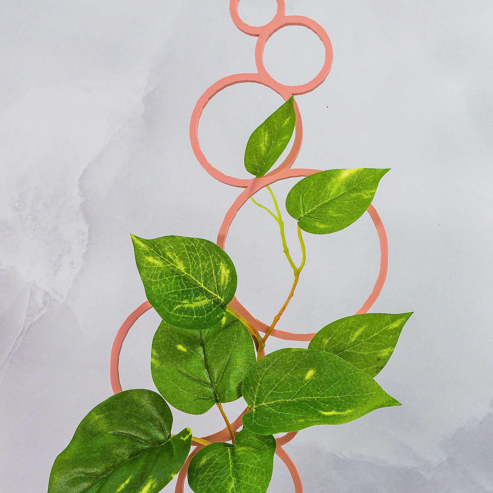 "Zoomed-in image of CLAY RED Circles Trellis Spike and climbing plant, showcasing rustic charm."
