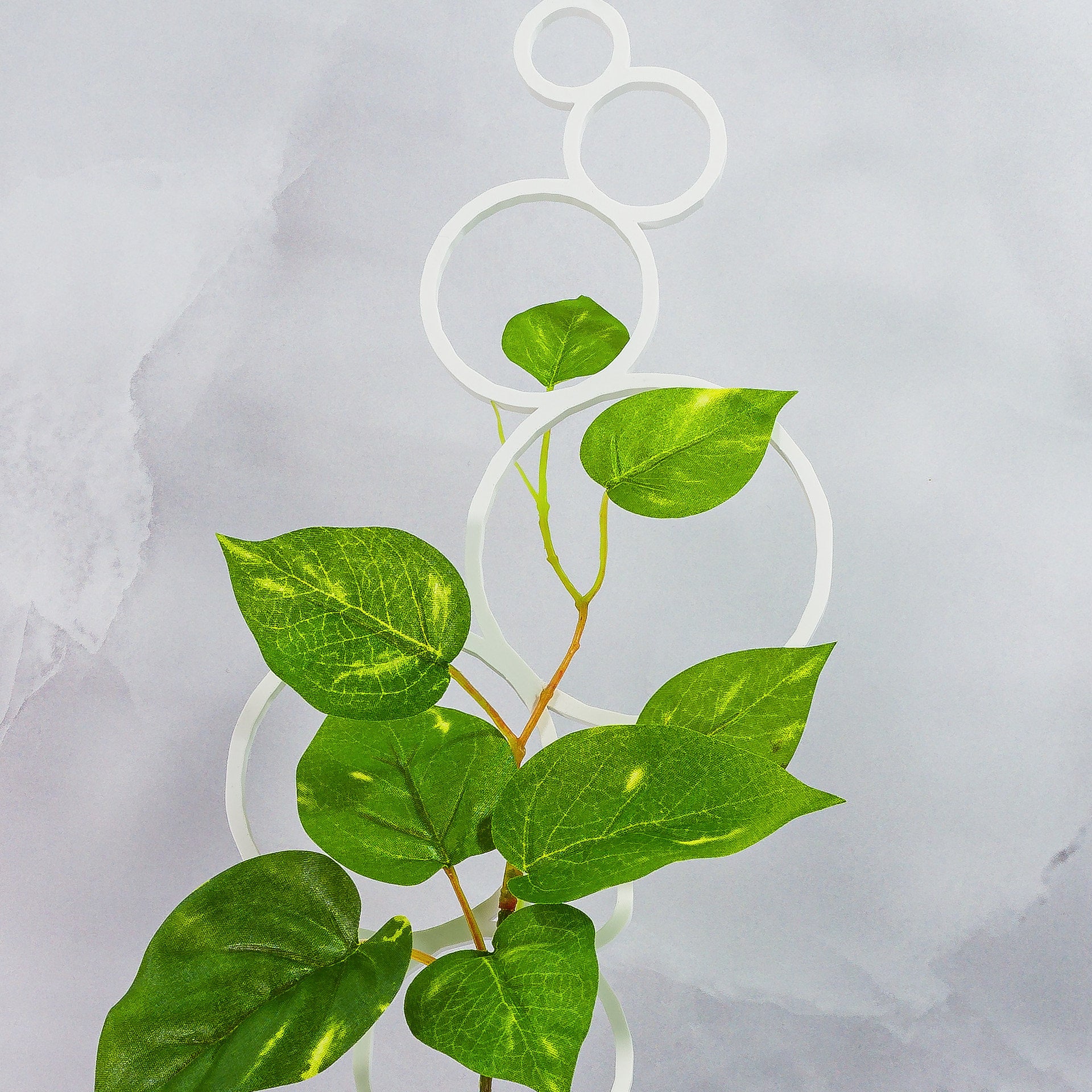 "Close-up of WHITE Circles Trellis Spike with climbing plant, highlighting minimalist bubble pattern."
