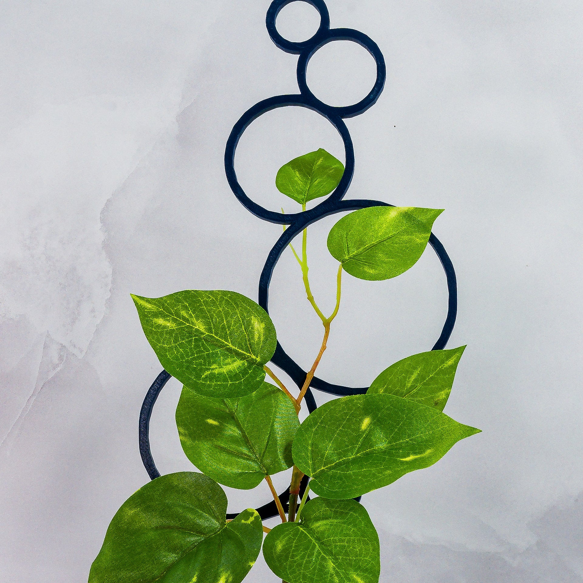 "Close-up of NAVY Circles Trellis Spike with climbing plant, emphasising dramatic colour contrast."
