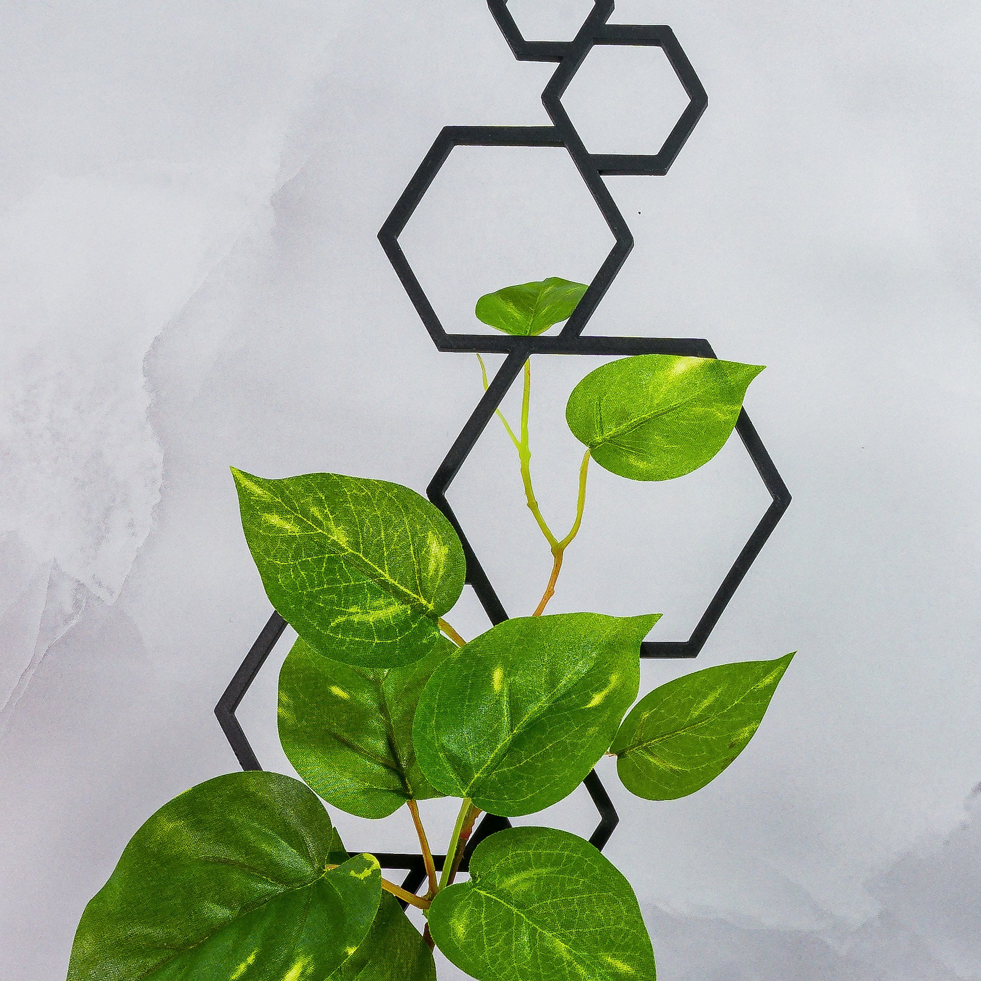 "Zoomed-in shot of CARBON Hexagons Trellis Spike and climbing plant, emphasising contemporary look."
