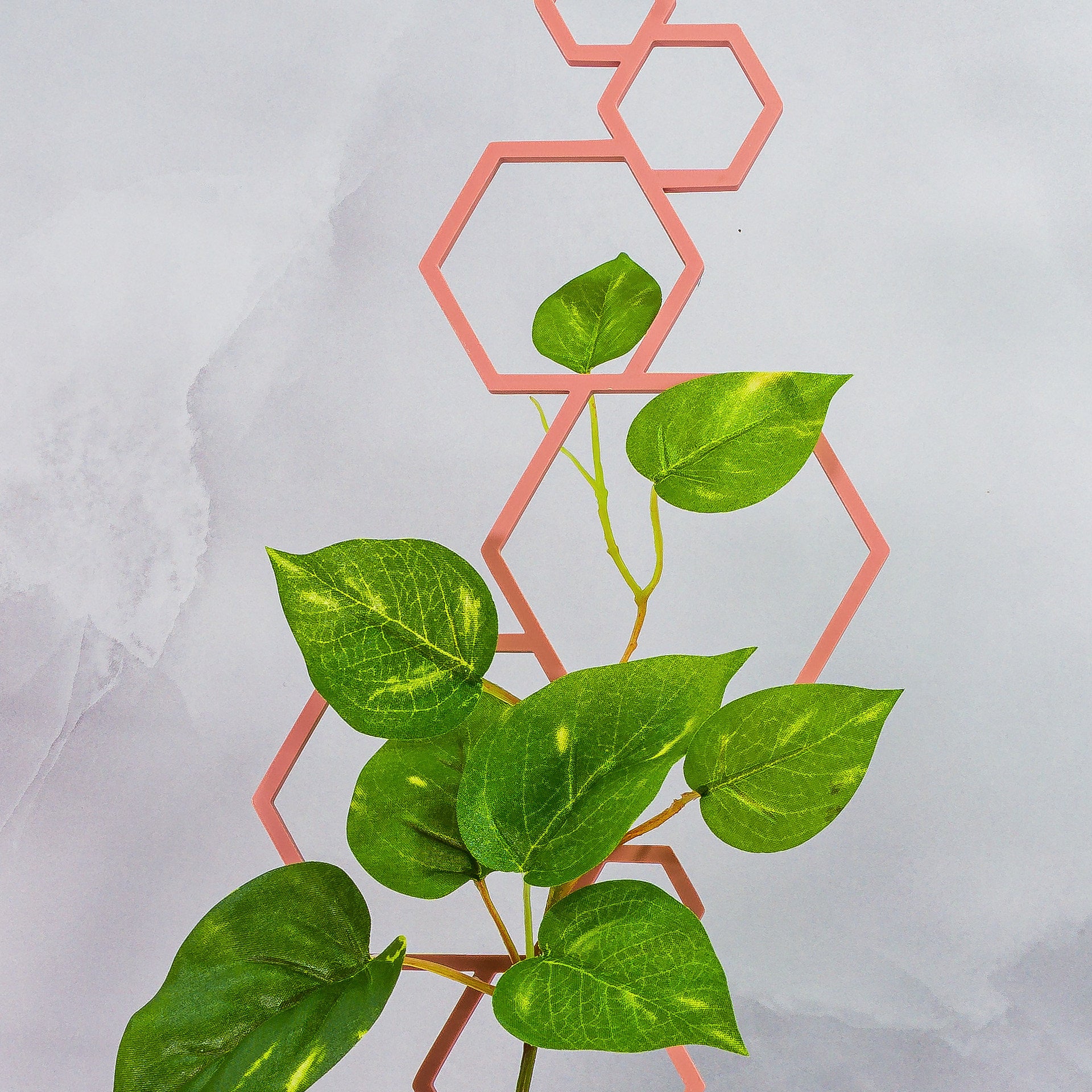 "Zoomed-in image of CLAY RED Hexagons Trellis Spike and climbing plant, showcasing earthy aesthetic."
