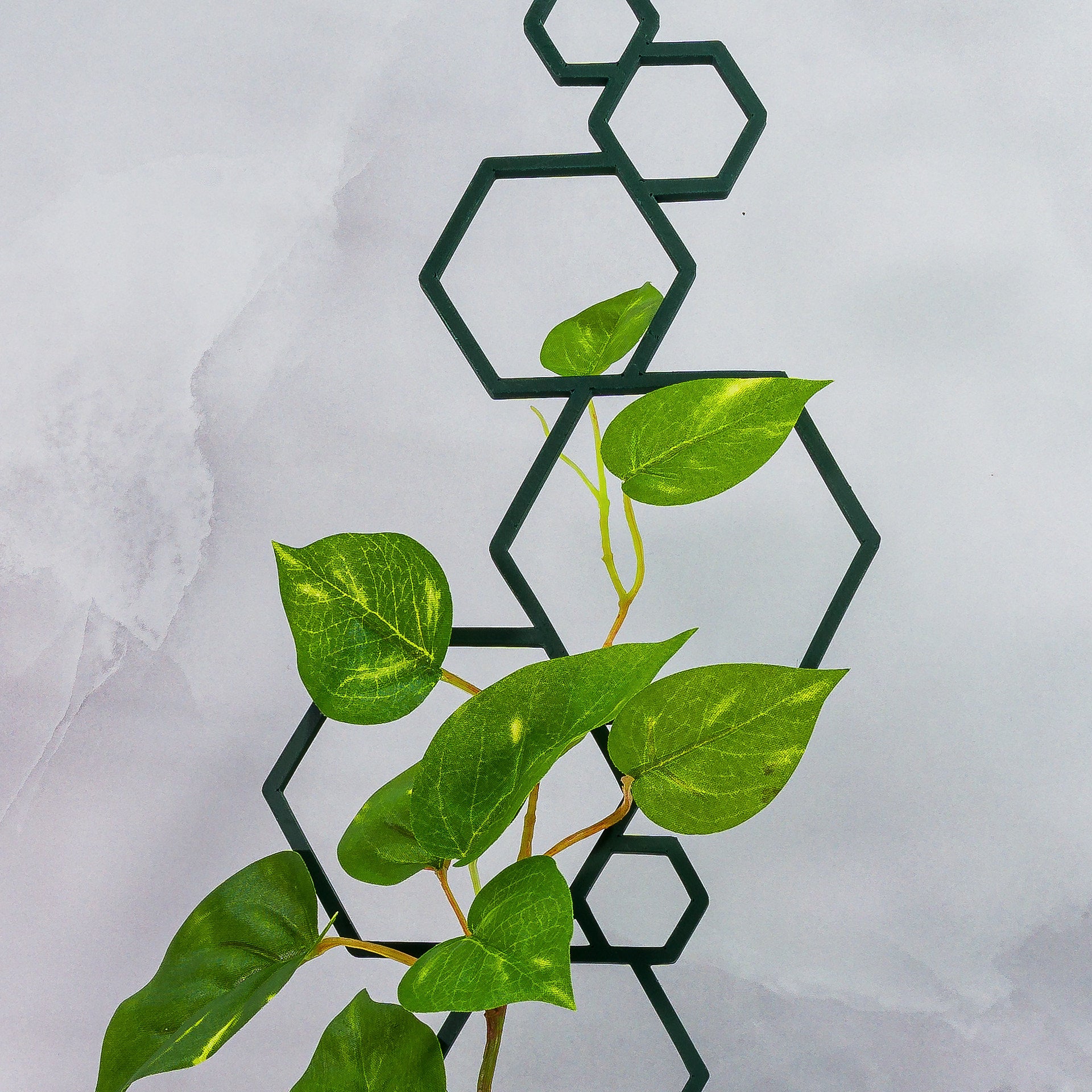 "Close-up of FOREST GREEN Hexagons Trellis Spike with climbing plant, highlighting intricate pattern."
